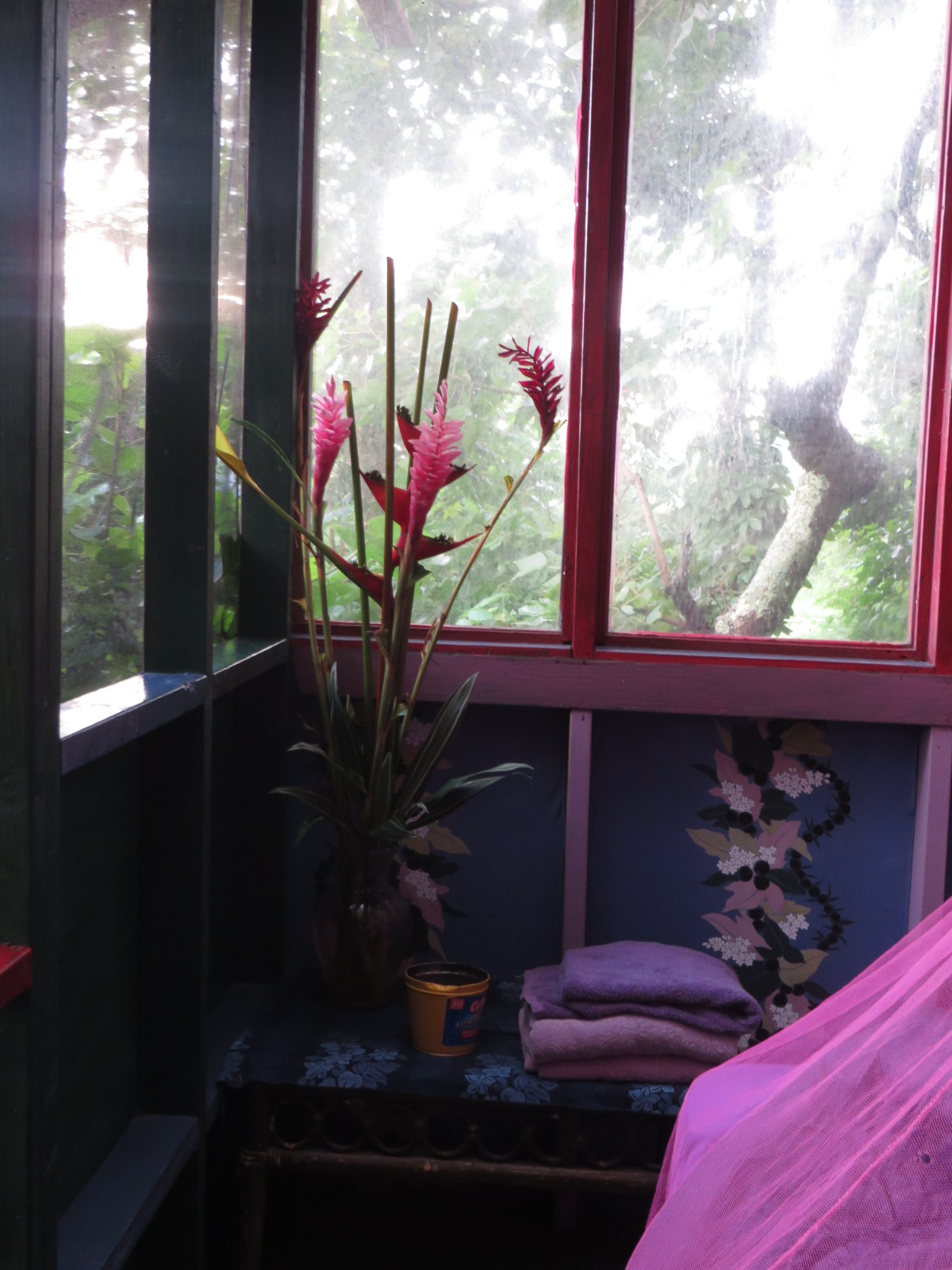 20151011190715.JPG image