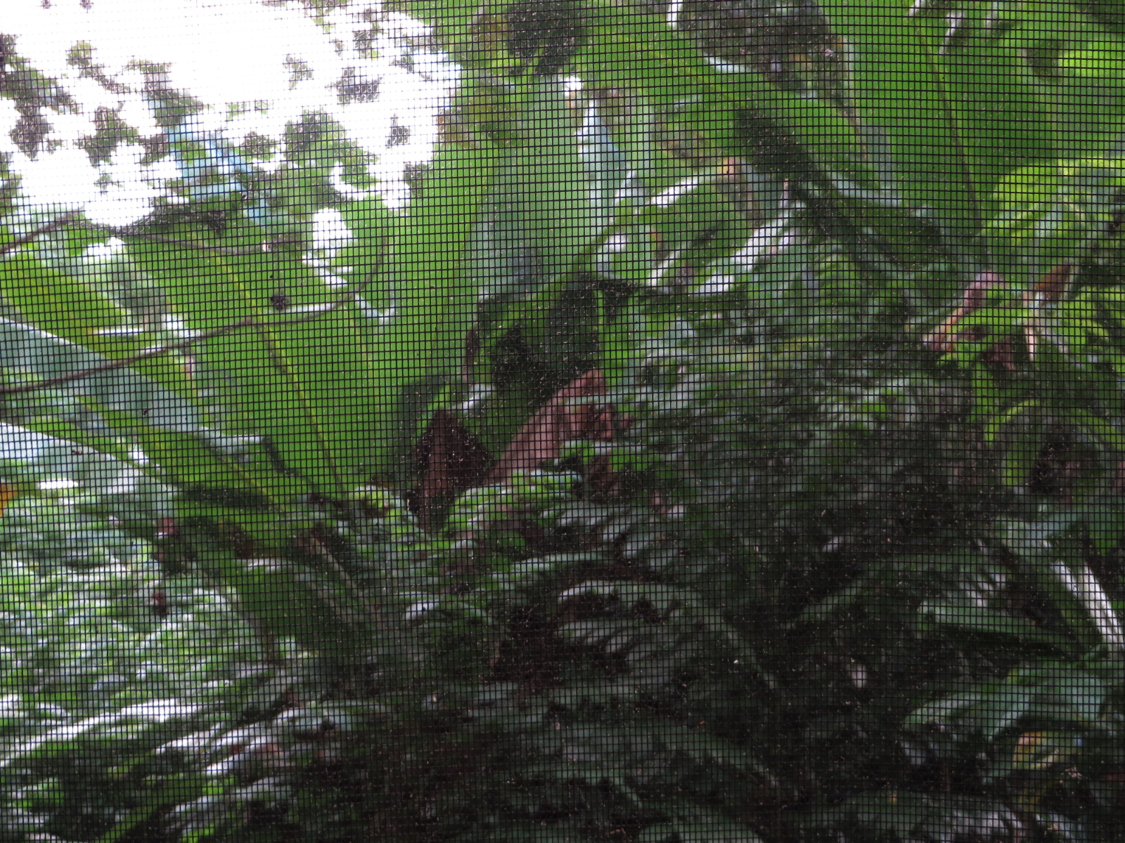 20151011190721.JPG image