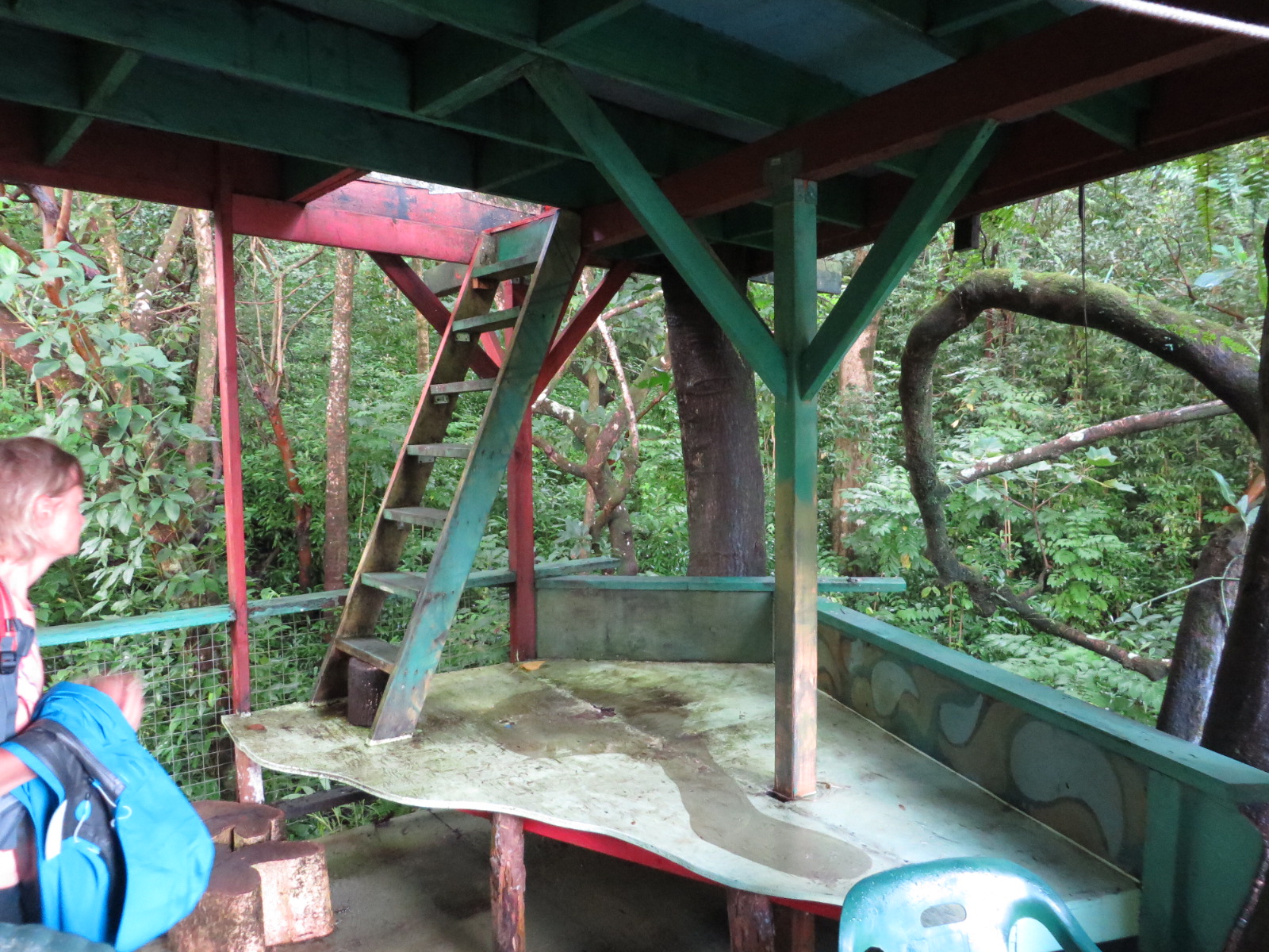 20151011190841.JPG image