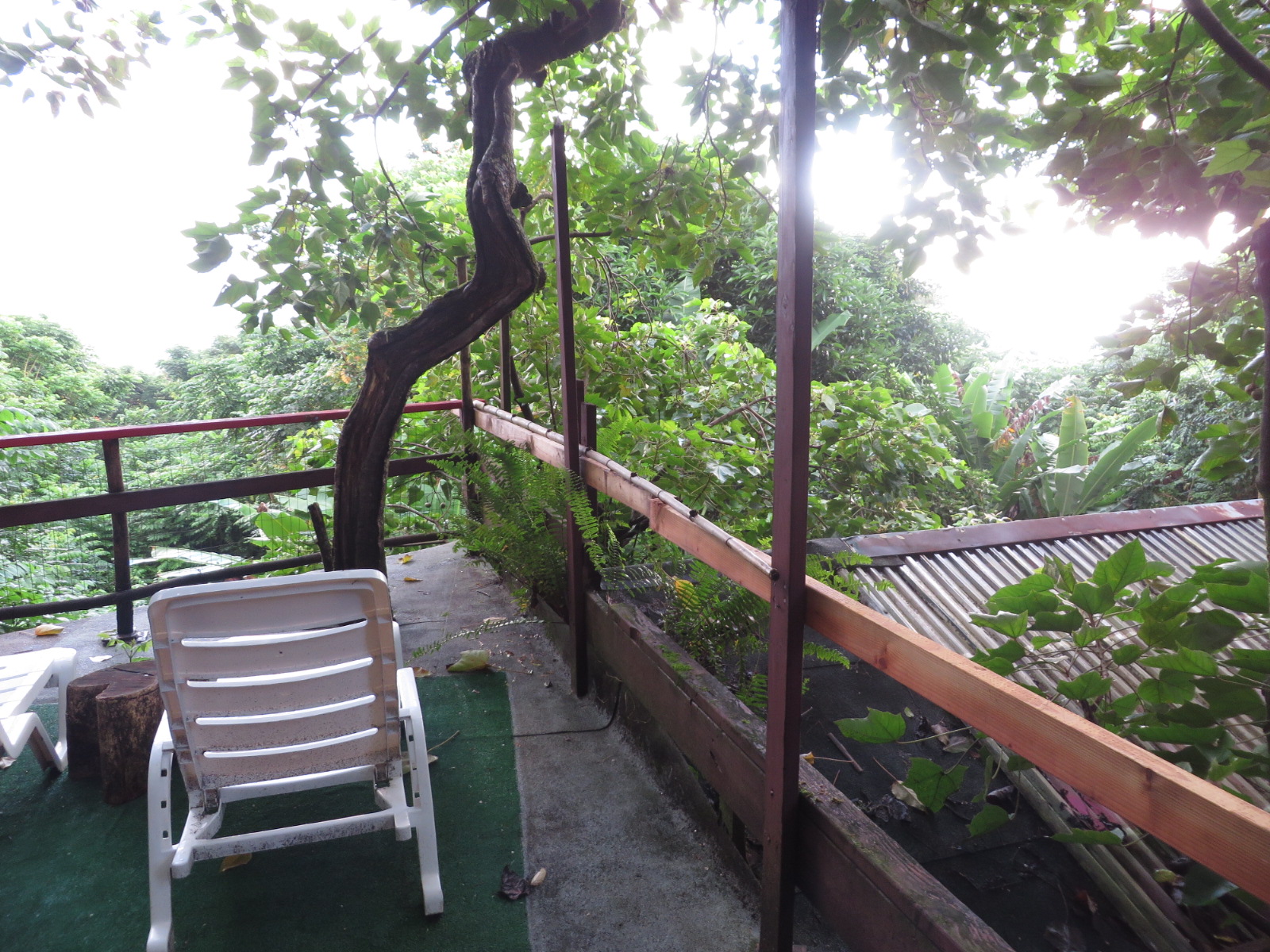 20151011190910.JPG image