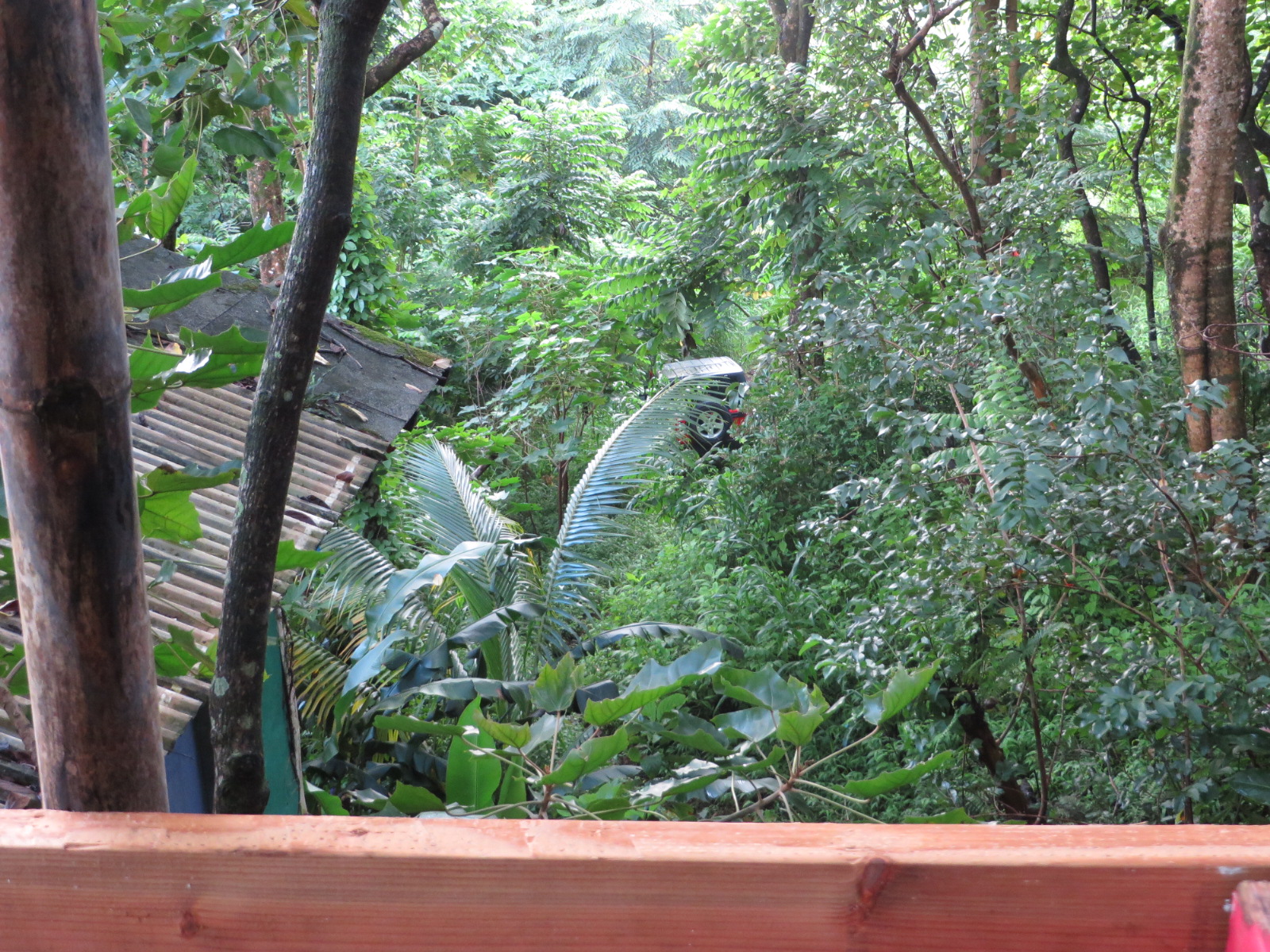 20151011190923.JPG image