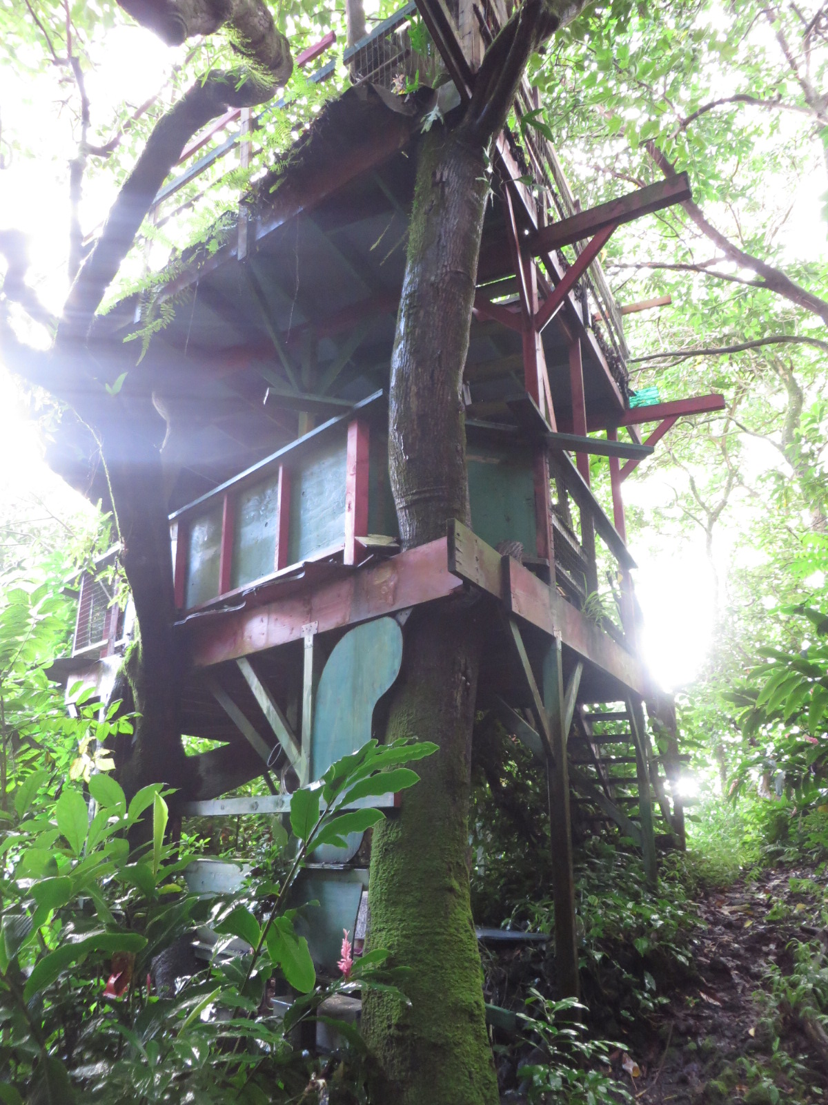 20151011191034.JPG image