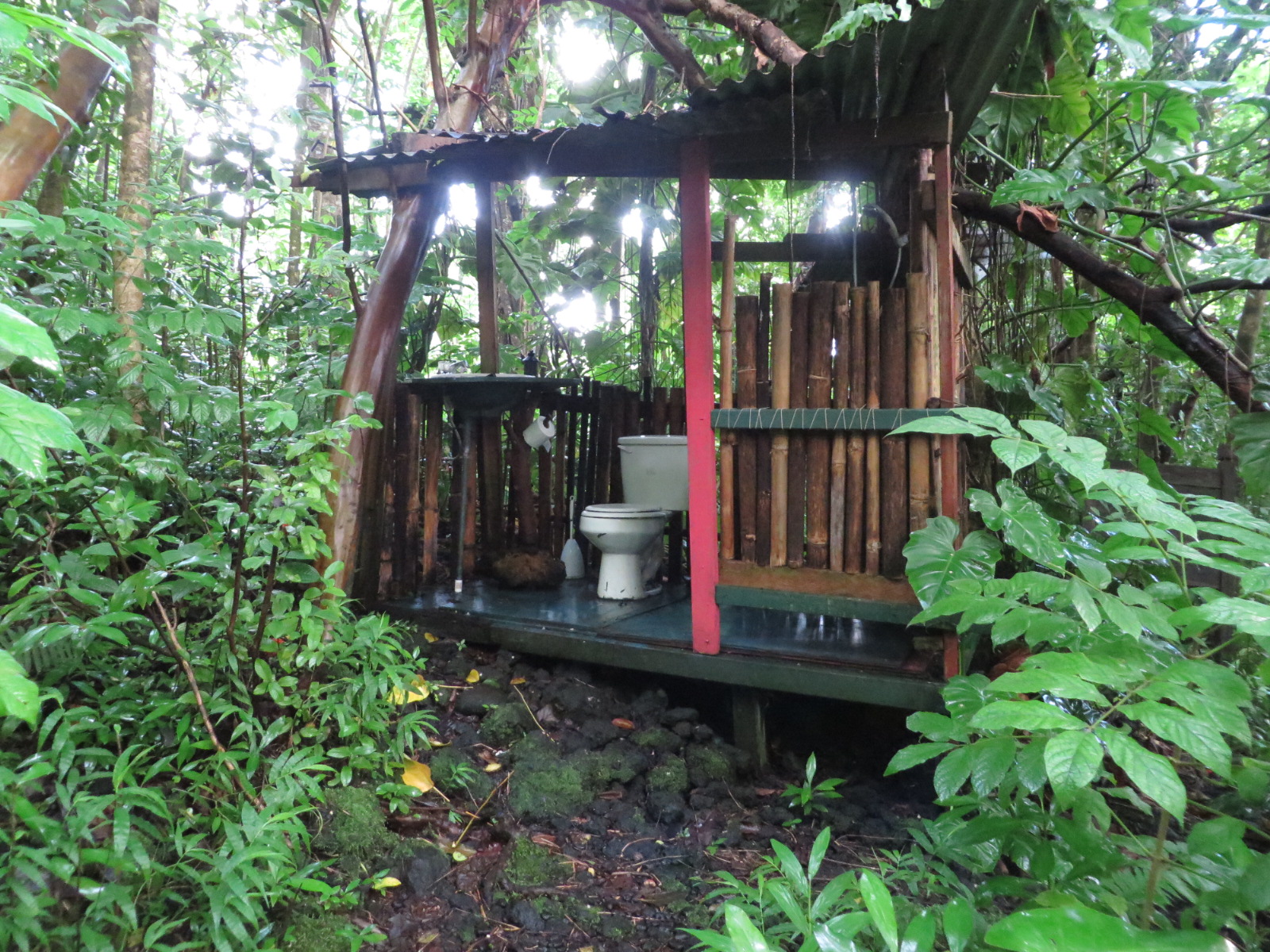 20151011191045.JPG image