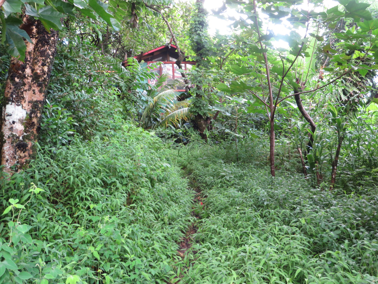 20151011191800.JPG image