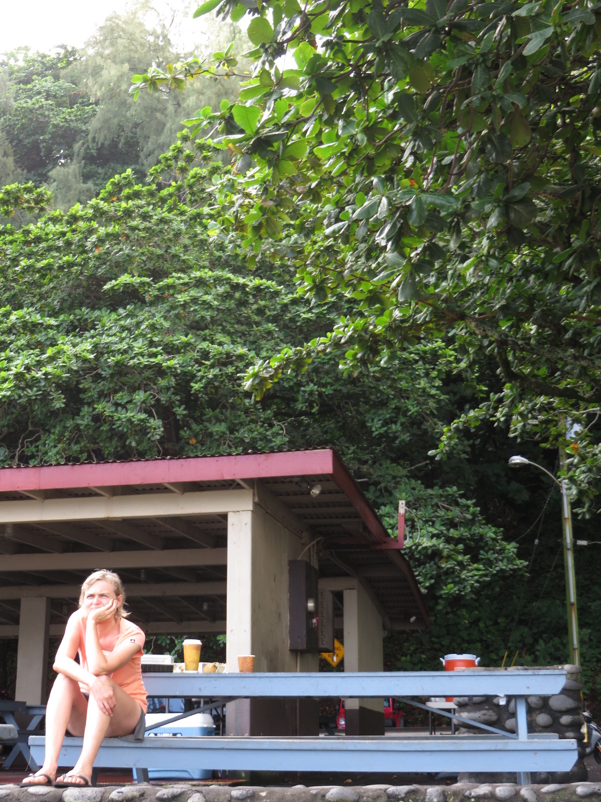 20151011201600.JPG image