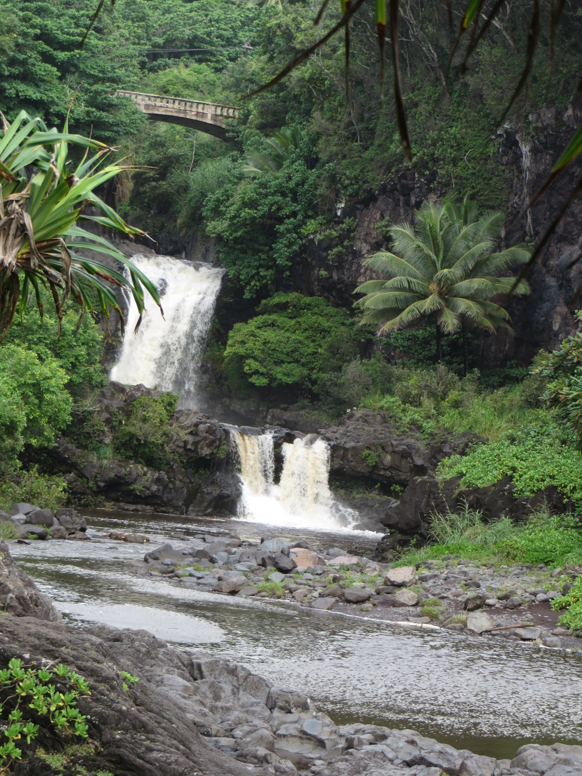 20151011211138.JPG image