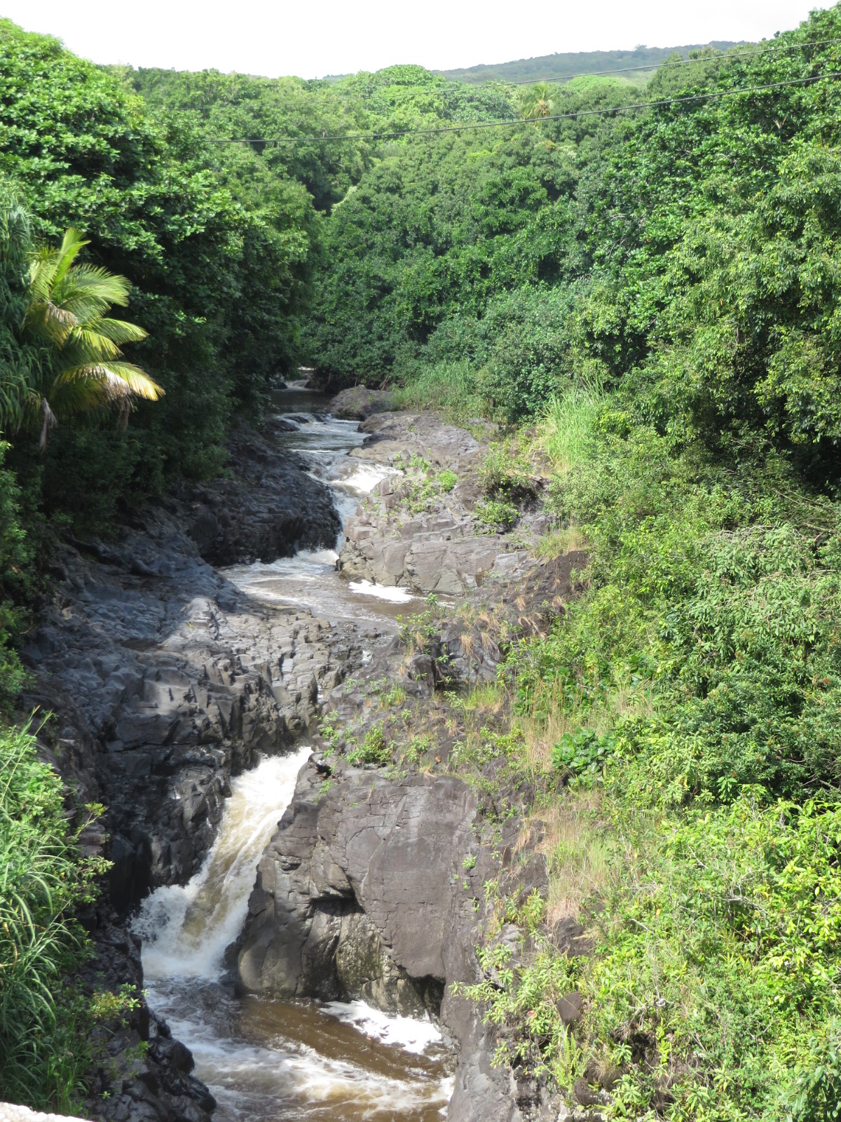 20151011215039.JPG image