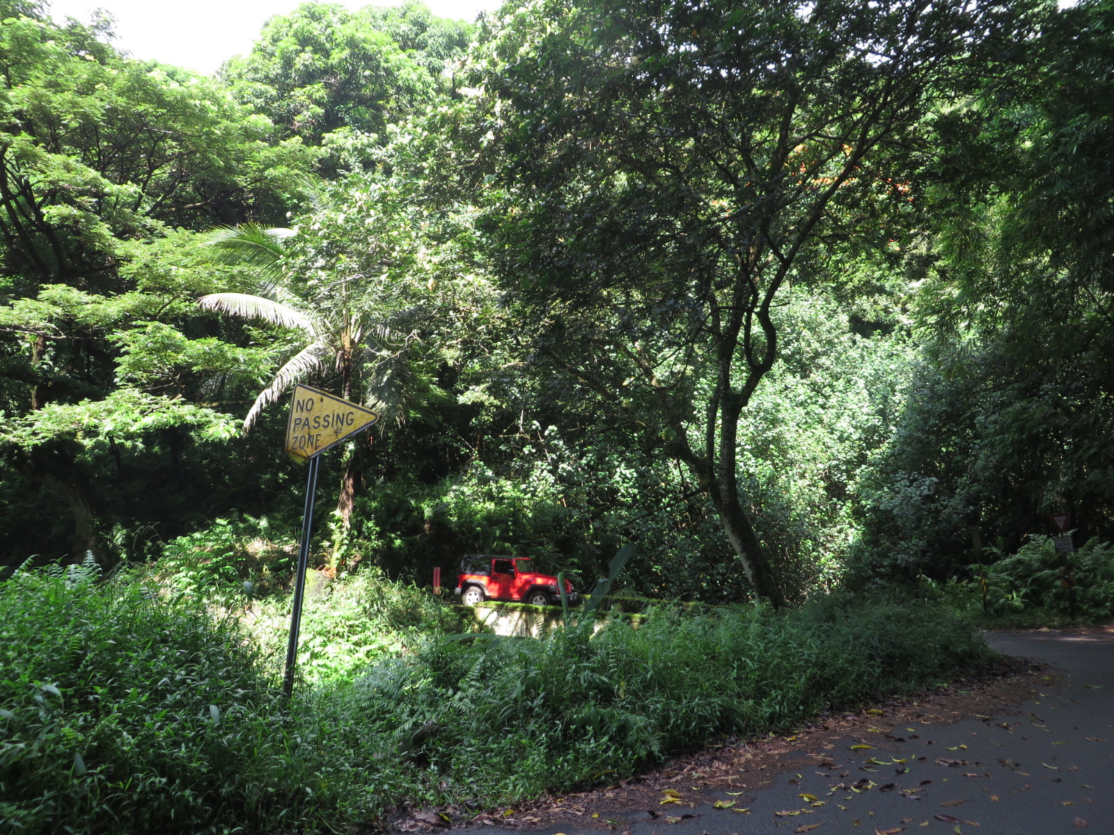 20151011215756.JPG image