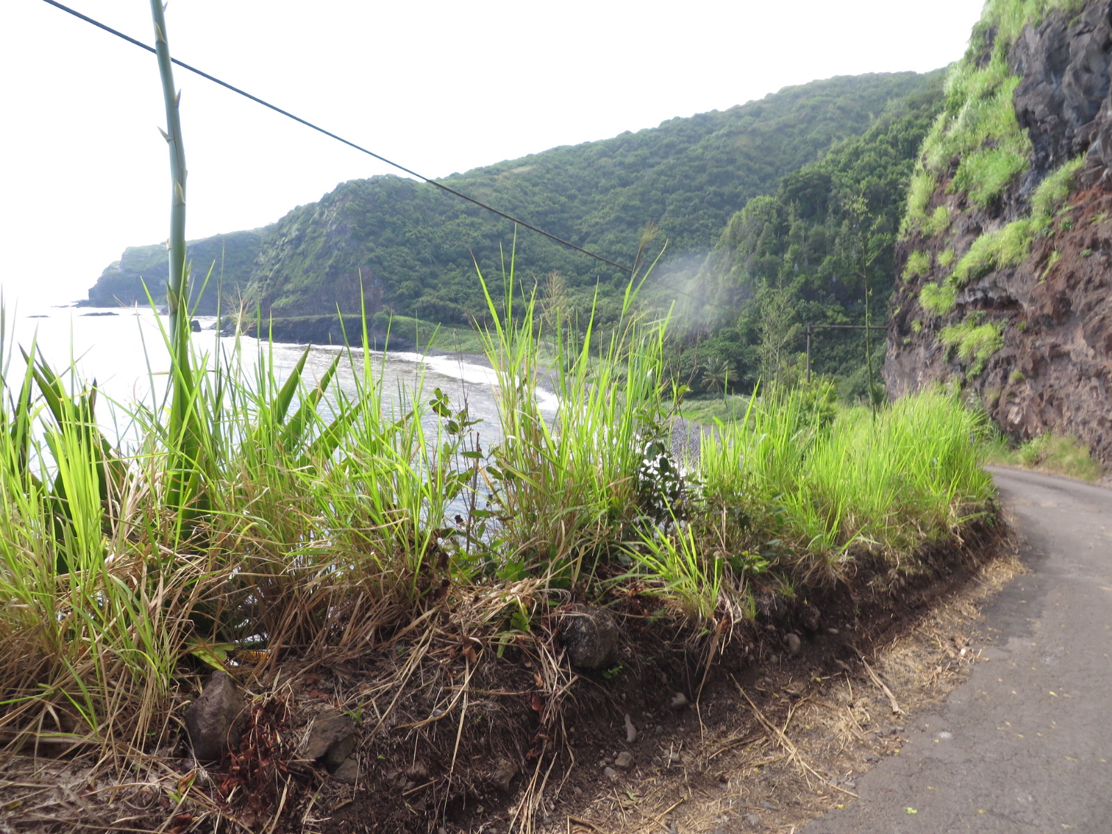 20151012021357.JPG image