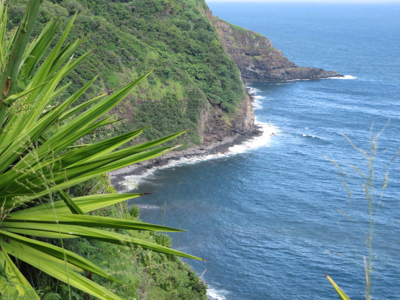 20151012022825.JPG image