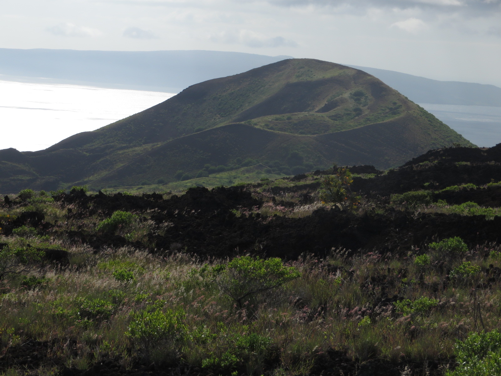 20151012032604.JPG image