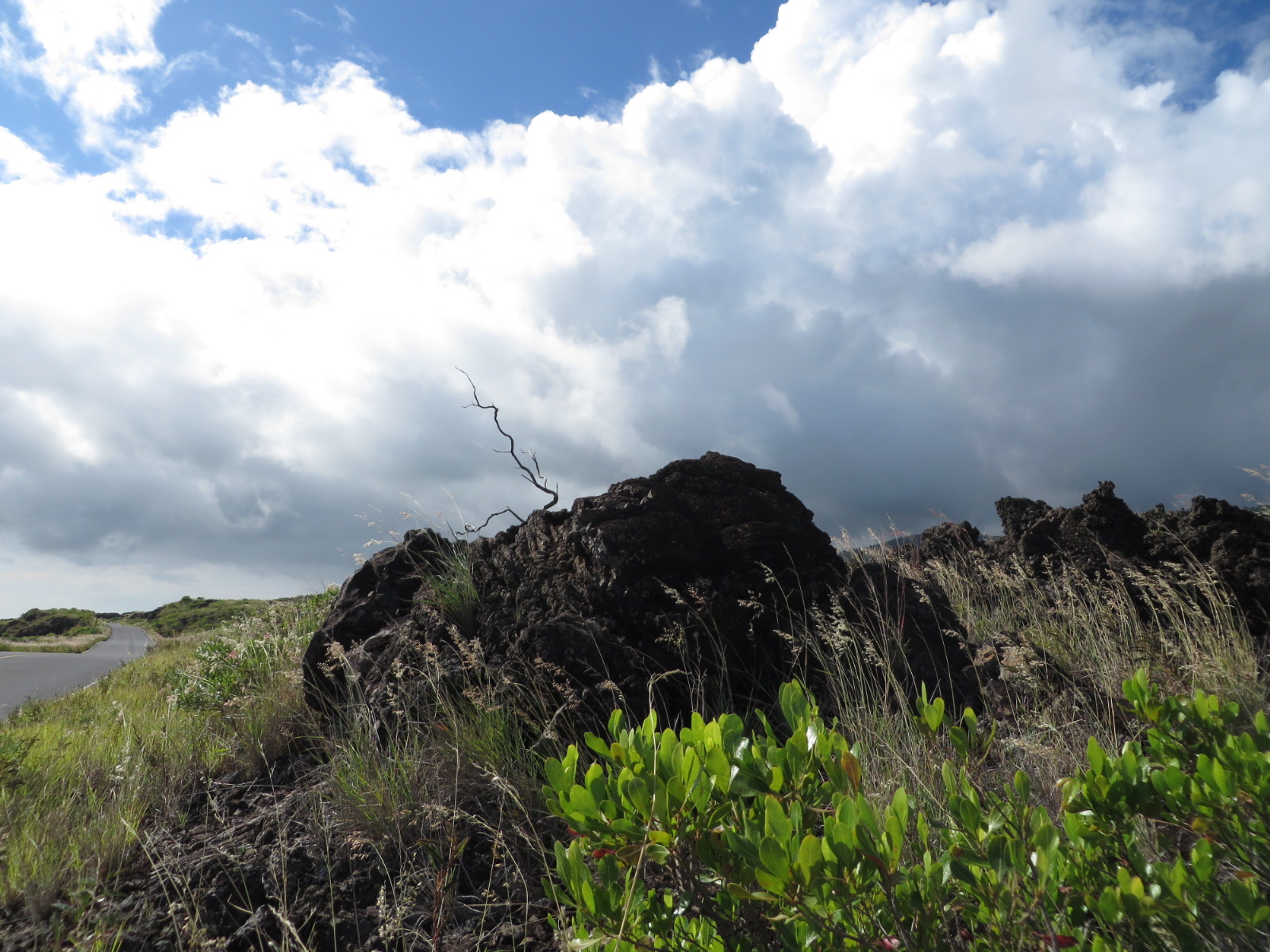 20151012032707.JPG image