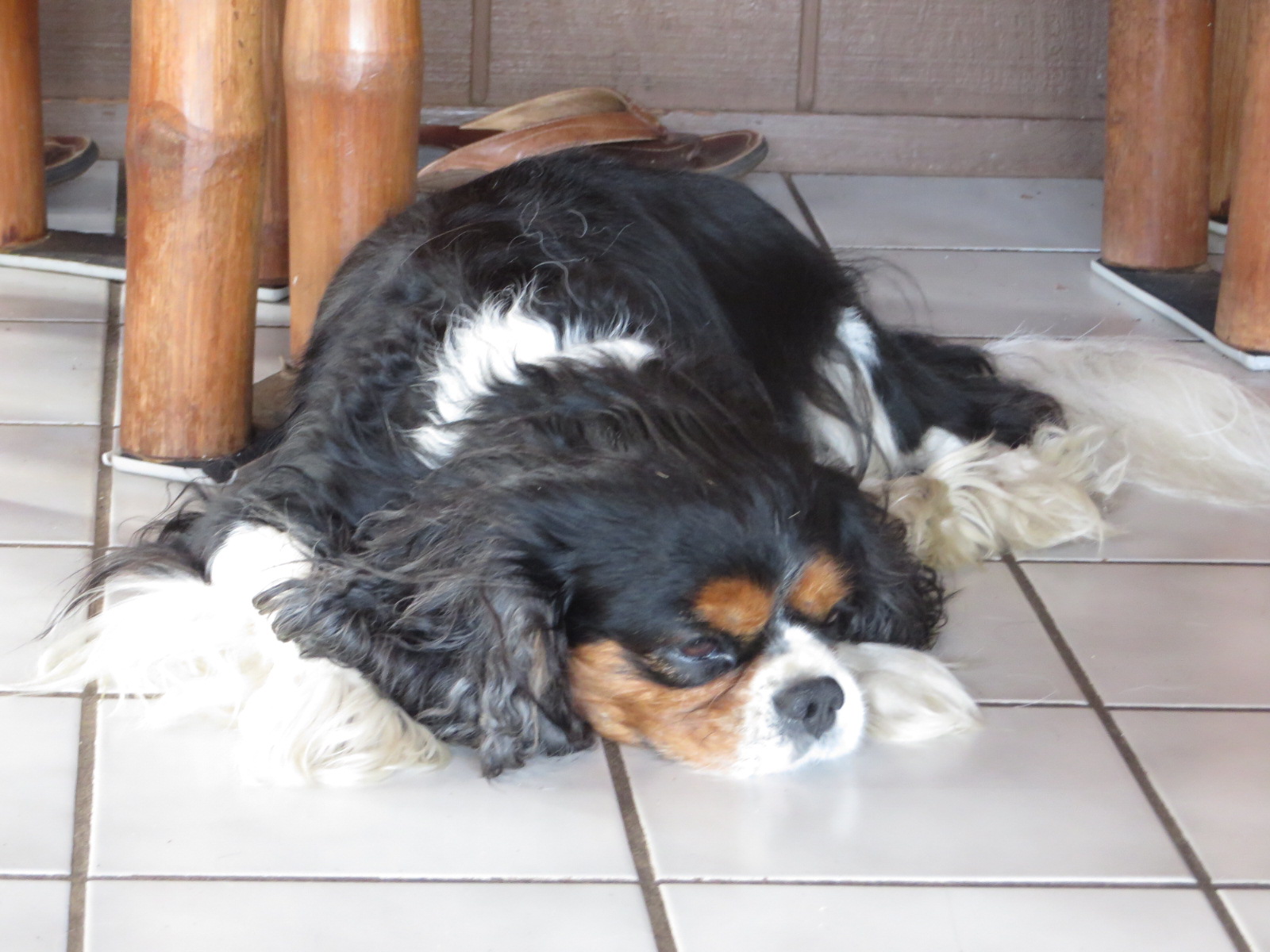 20151013213831_1.JPG image