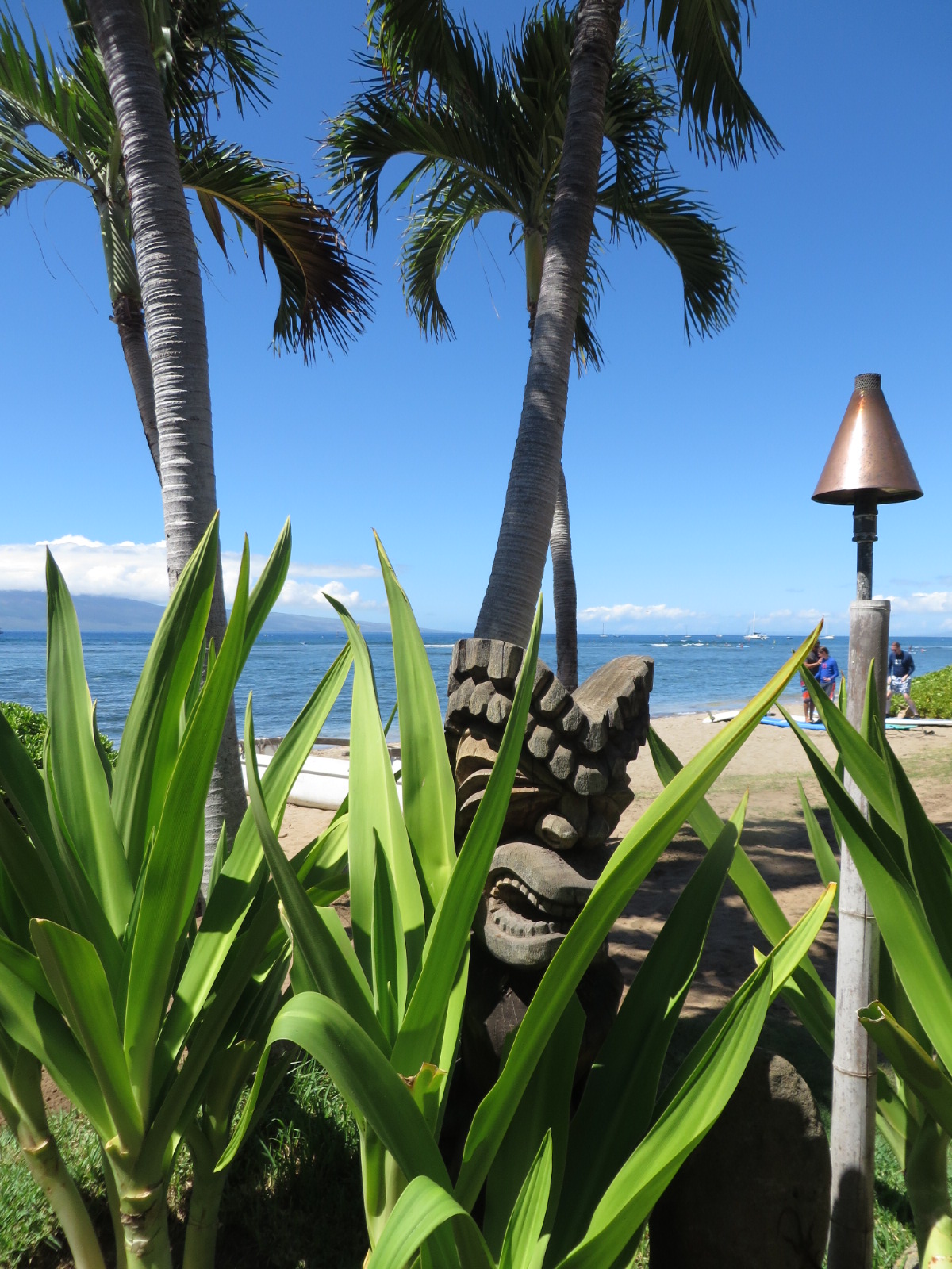 20151015000259.JPG image