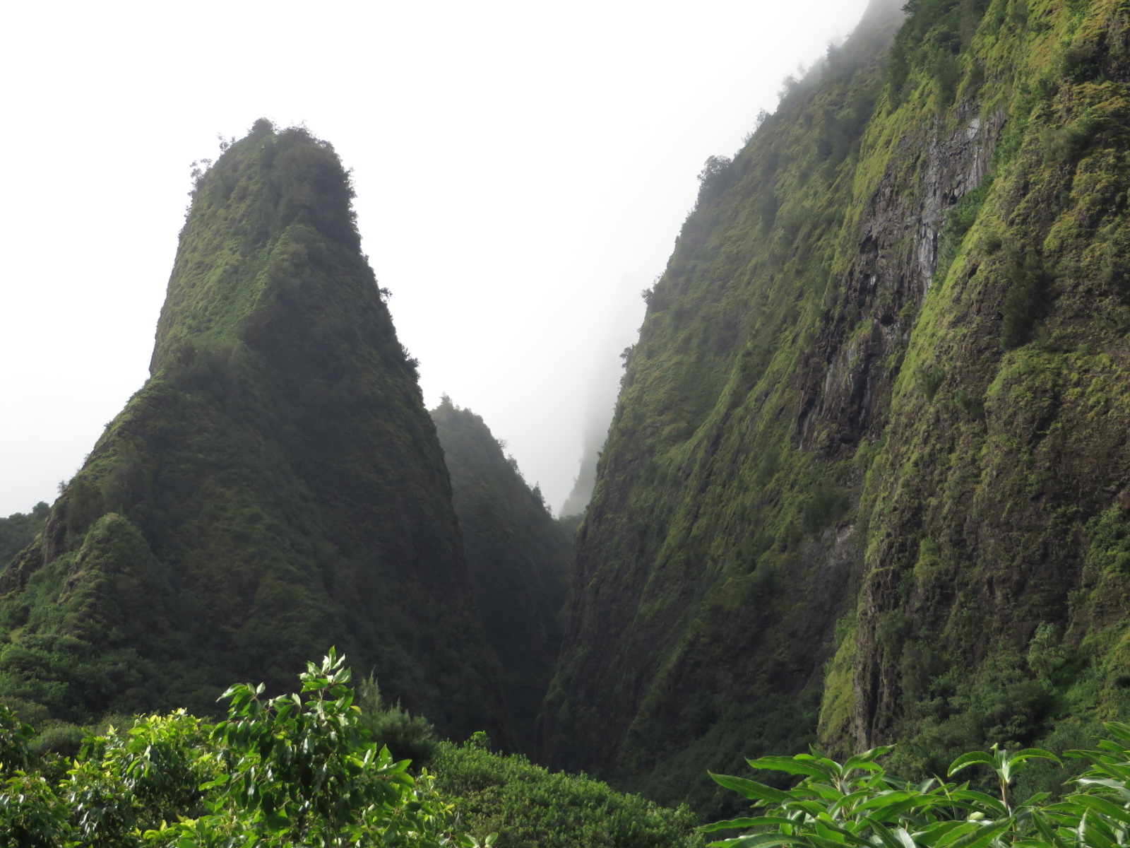 20151016032521.JPG image