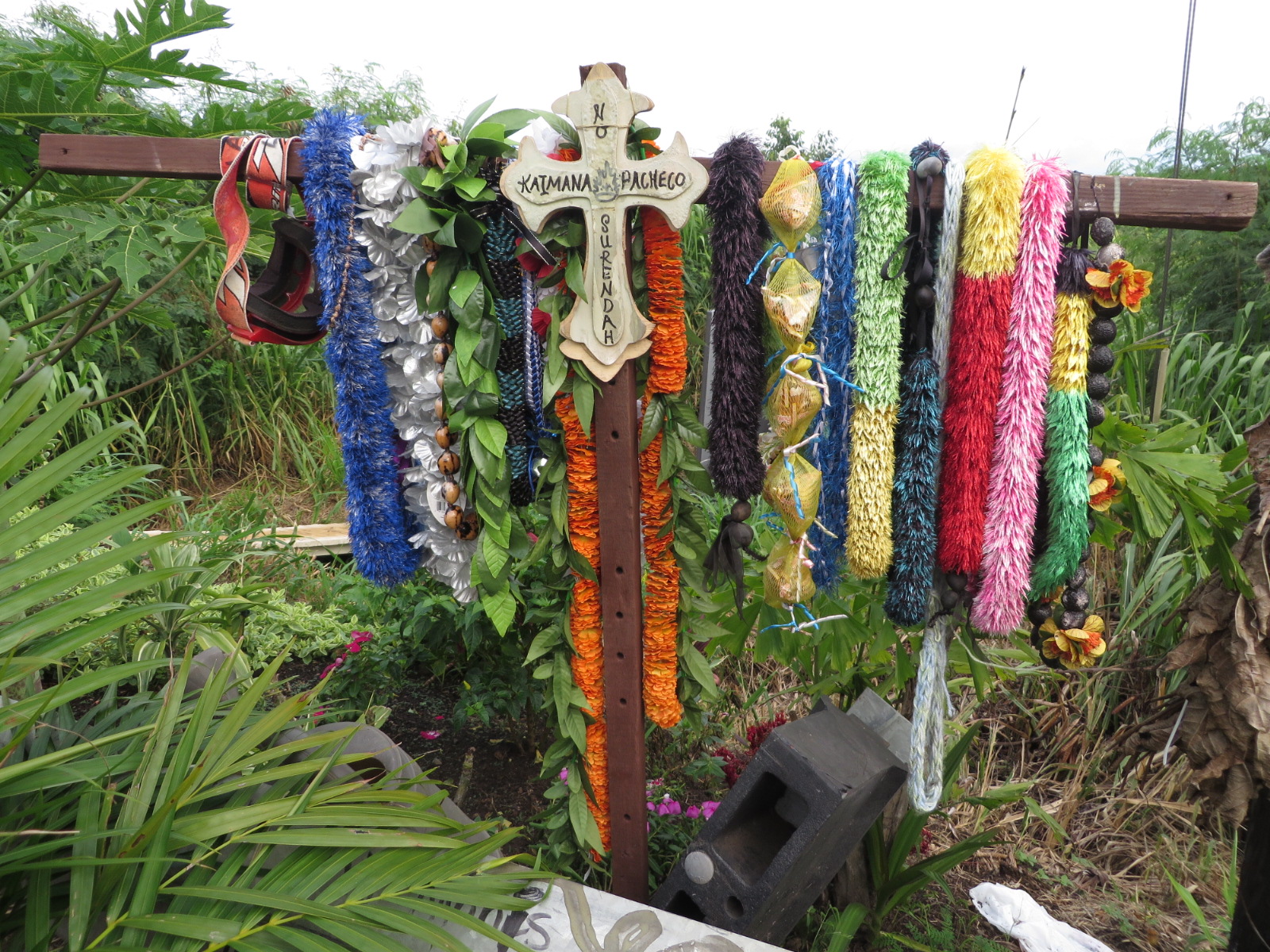 20151016041736.JPG image