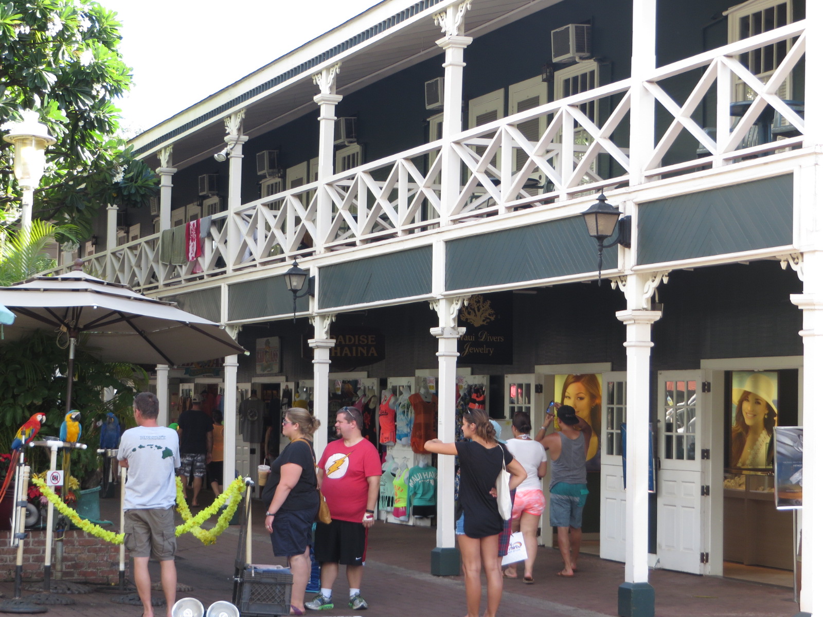 20151017031310.JPG image