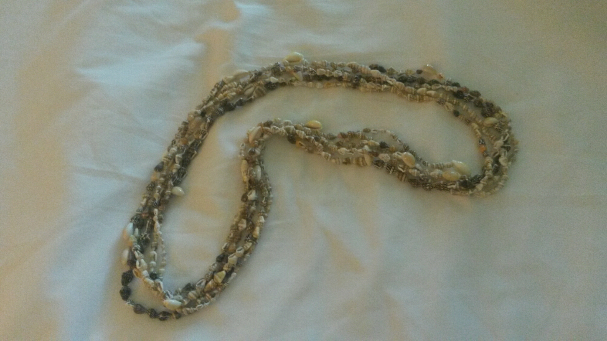 20151017_070423.jpg image