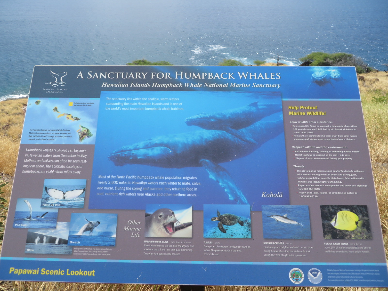 20151018000224.JPG image