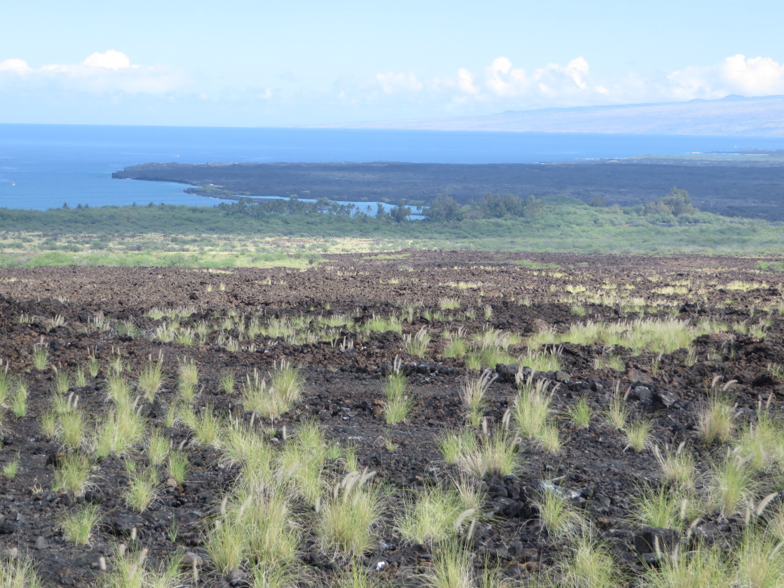 20151018213940.JPG image