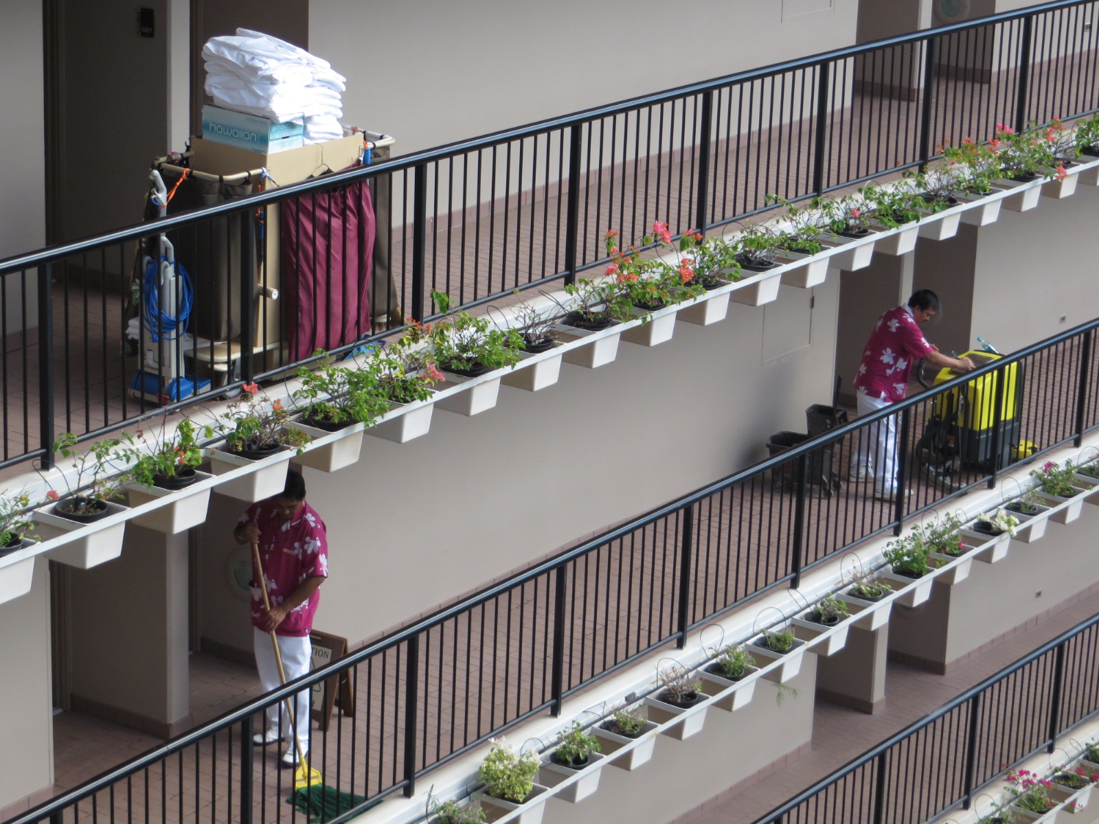 20151018221202.JPG image