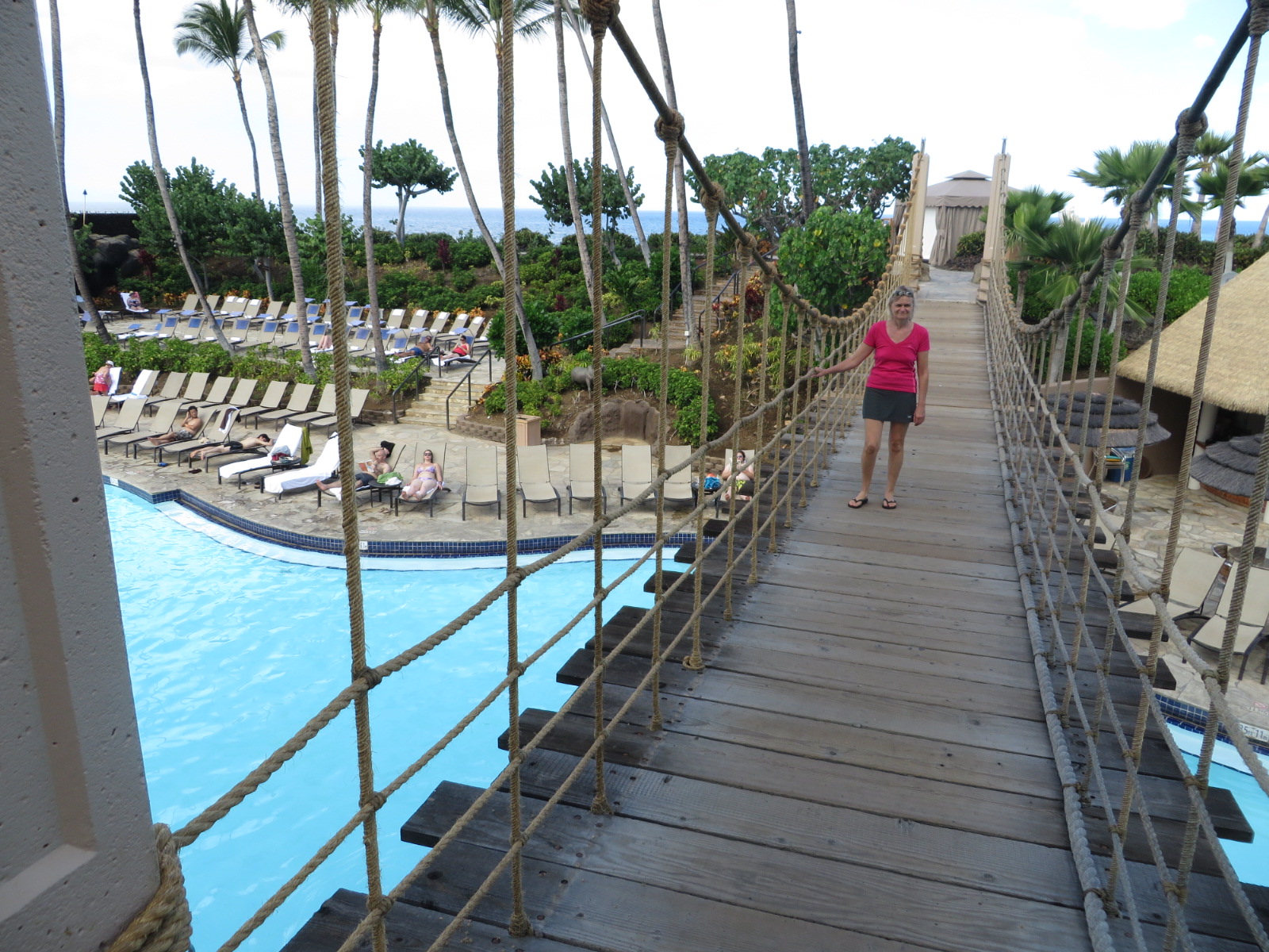 20151018221541.JPG image