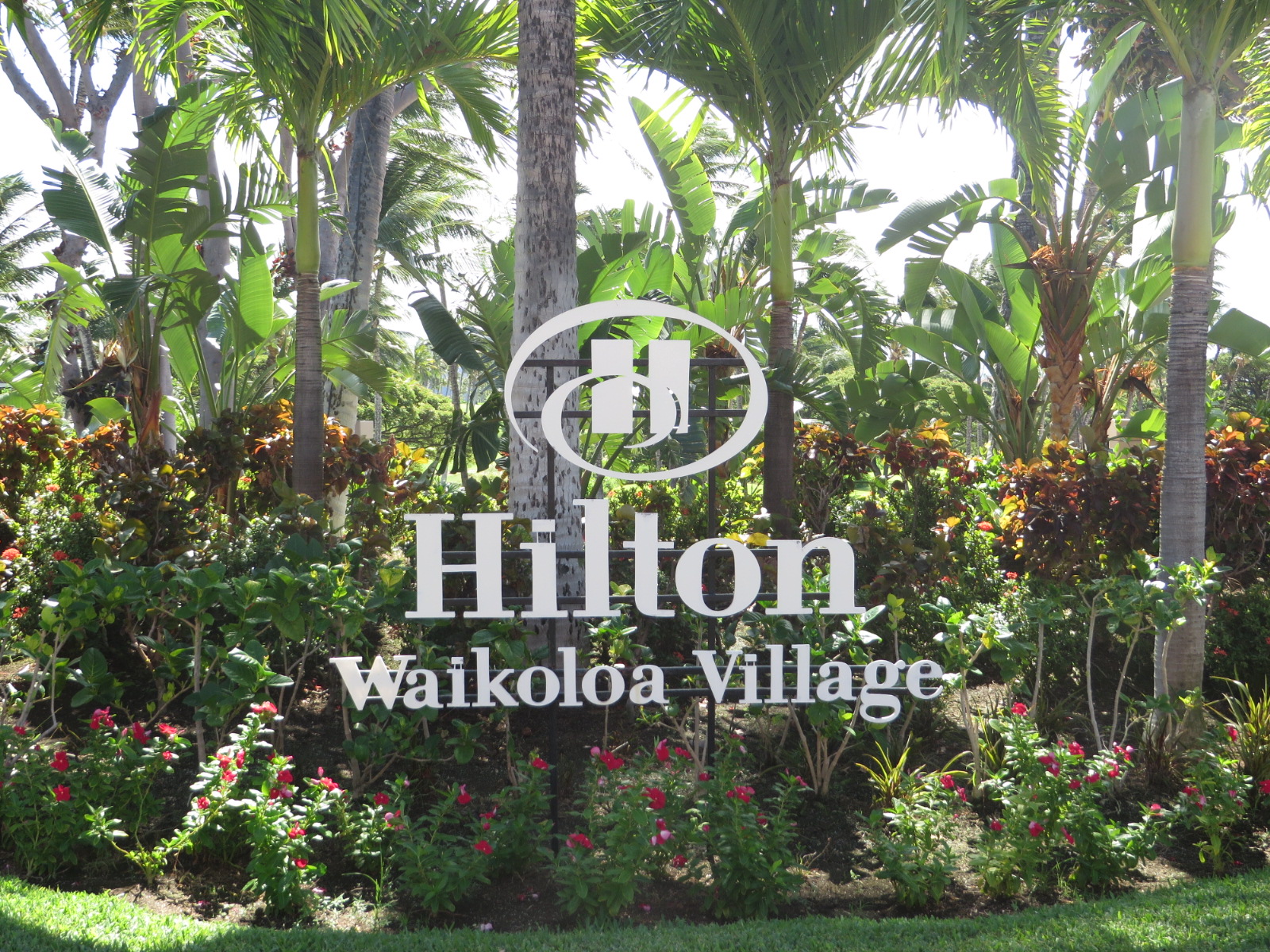 20151018225631.JPG image