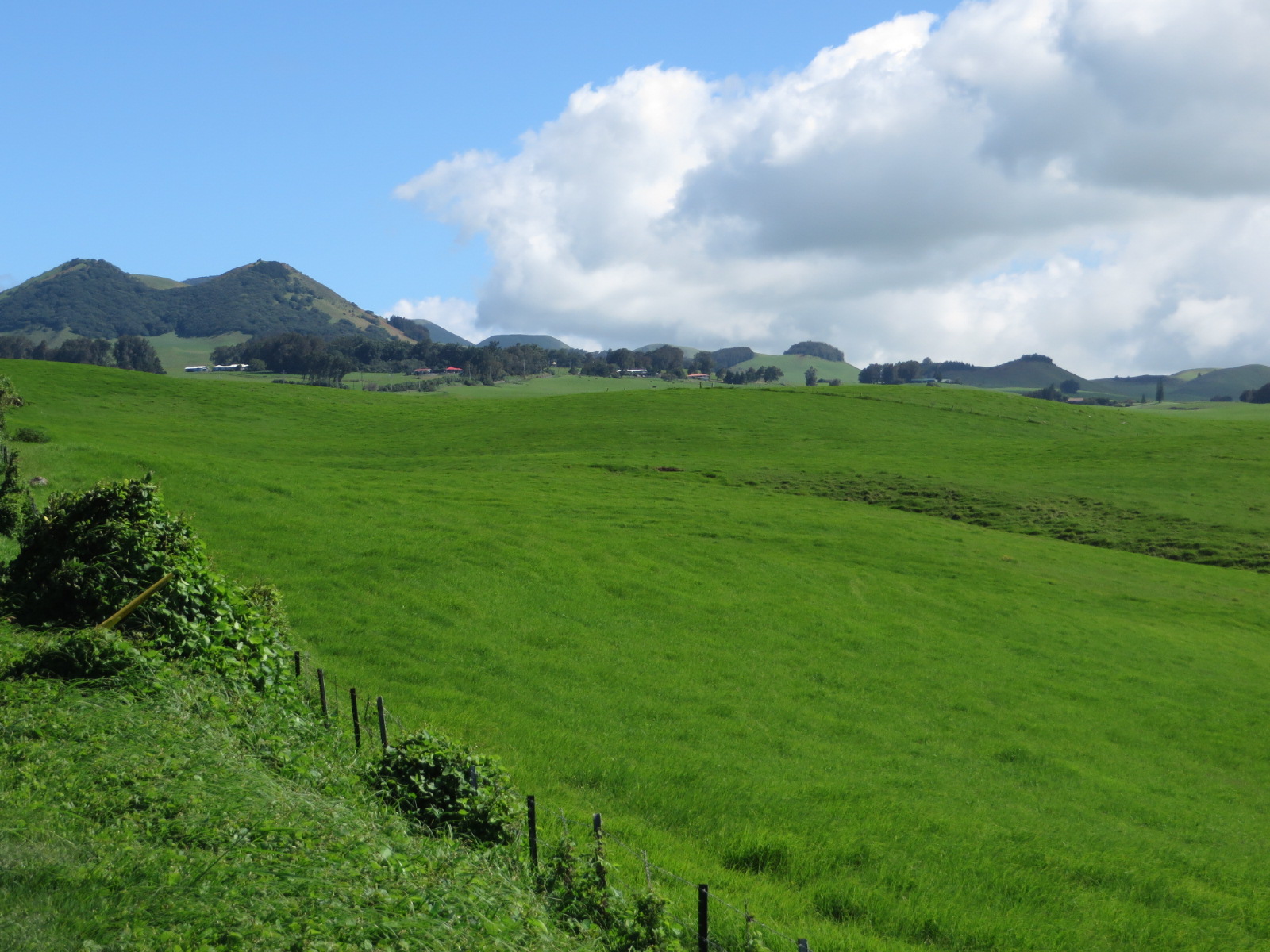 20151019015917.JPG image