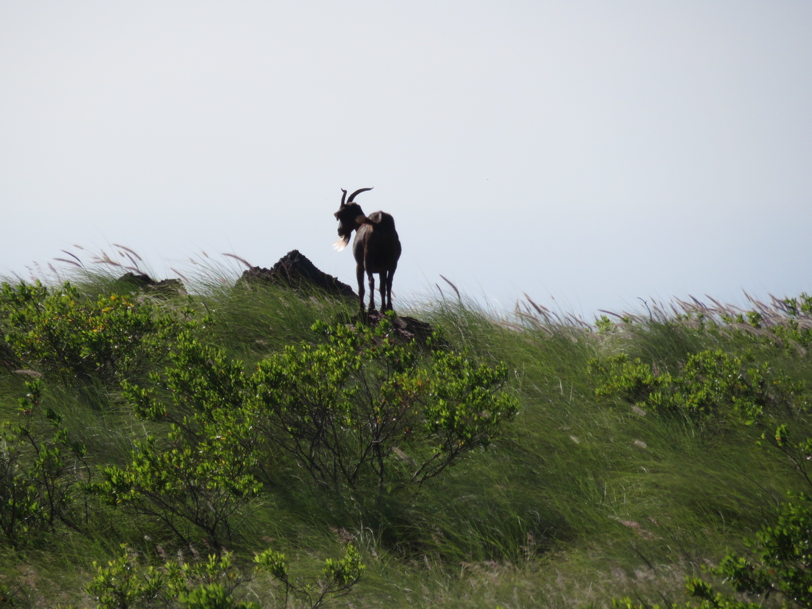 20151019032830.JPG image