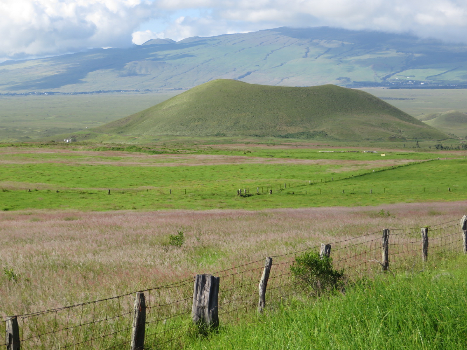 20151019033417.JPG image