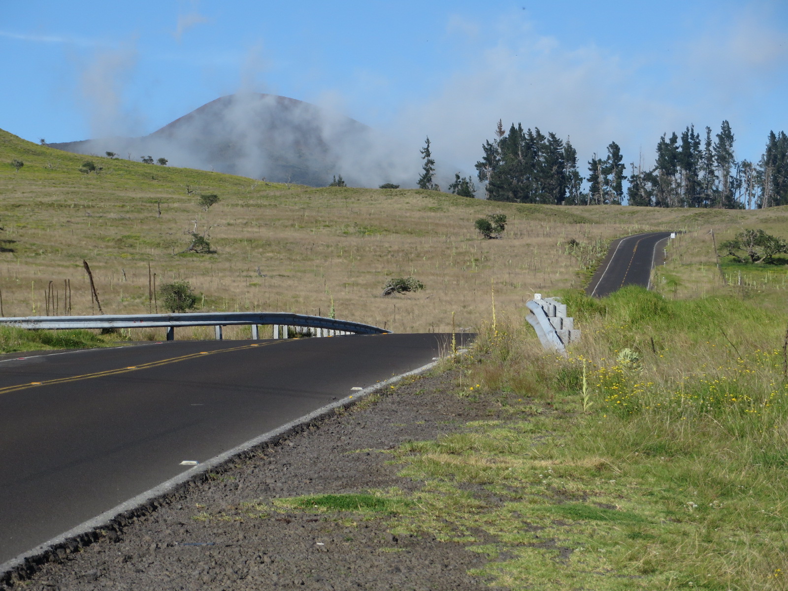 20151019040710.JPG image