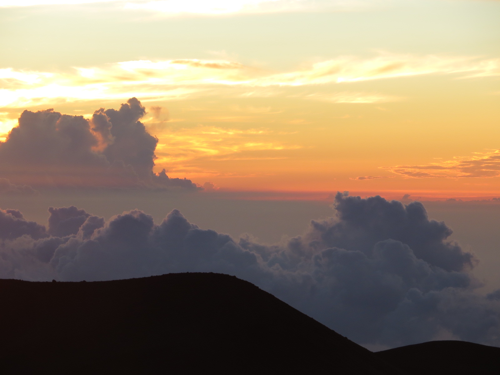 20151019060050.JPG image