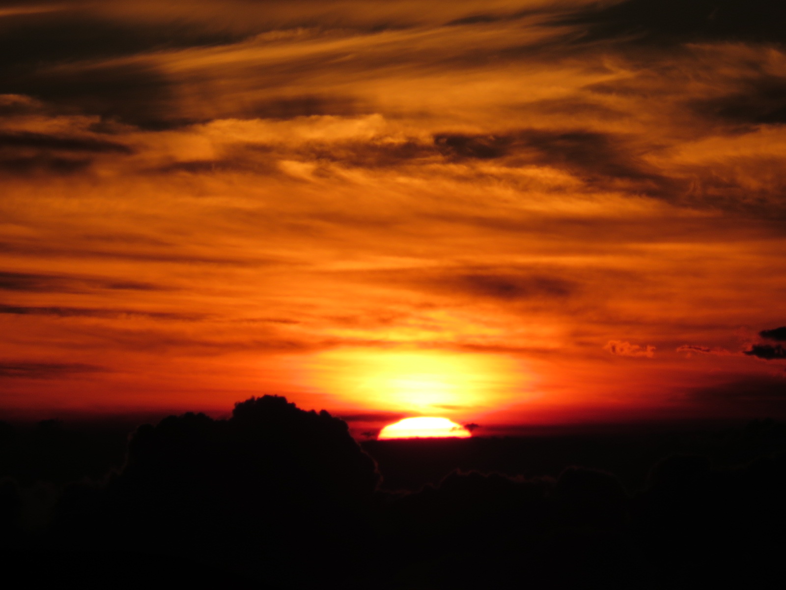 20151019060341.JPG image