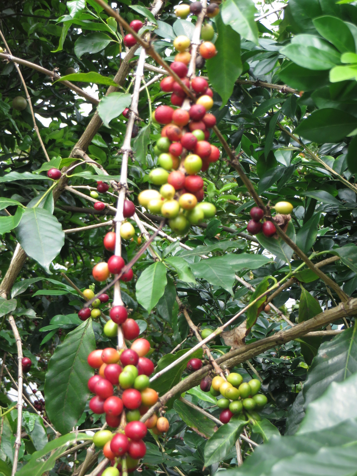 20151020020549.JPG image