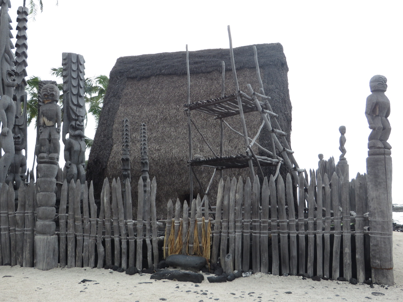 20151020030600.JPG image