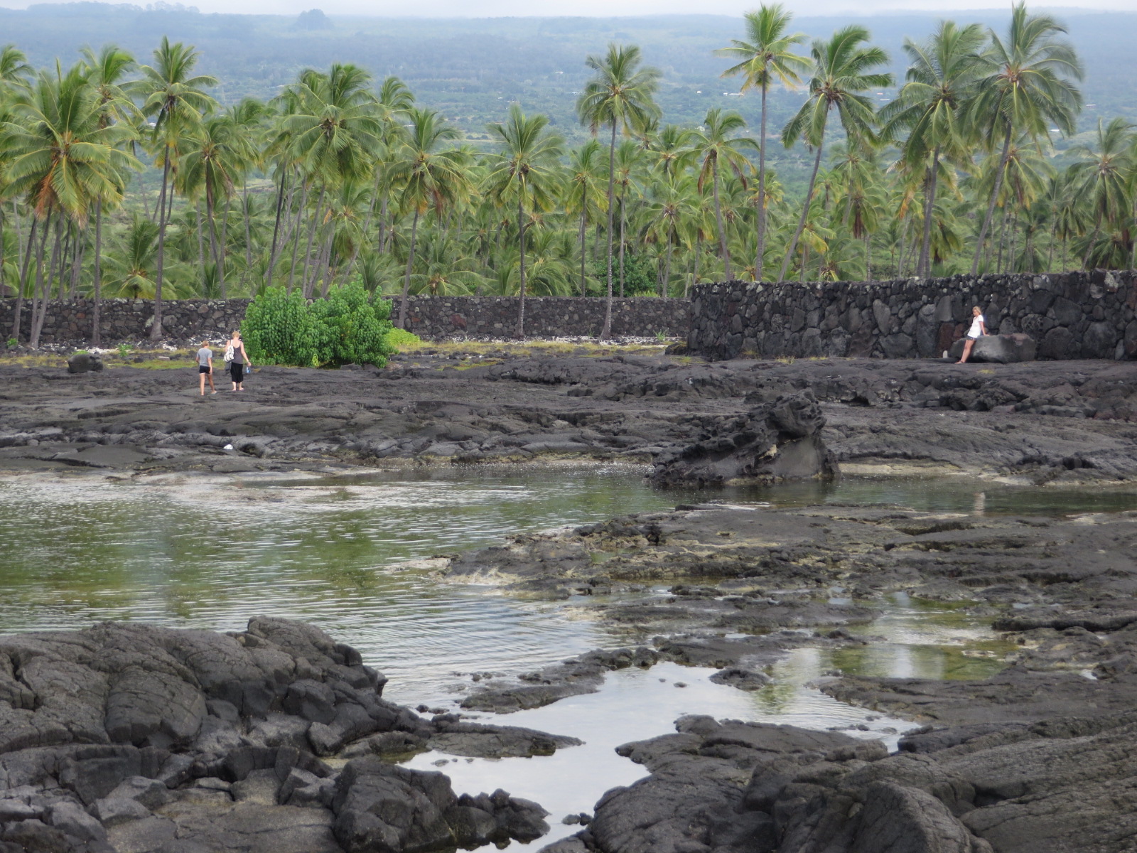 20151020031519.JPG image