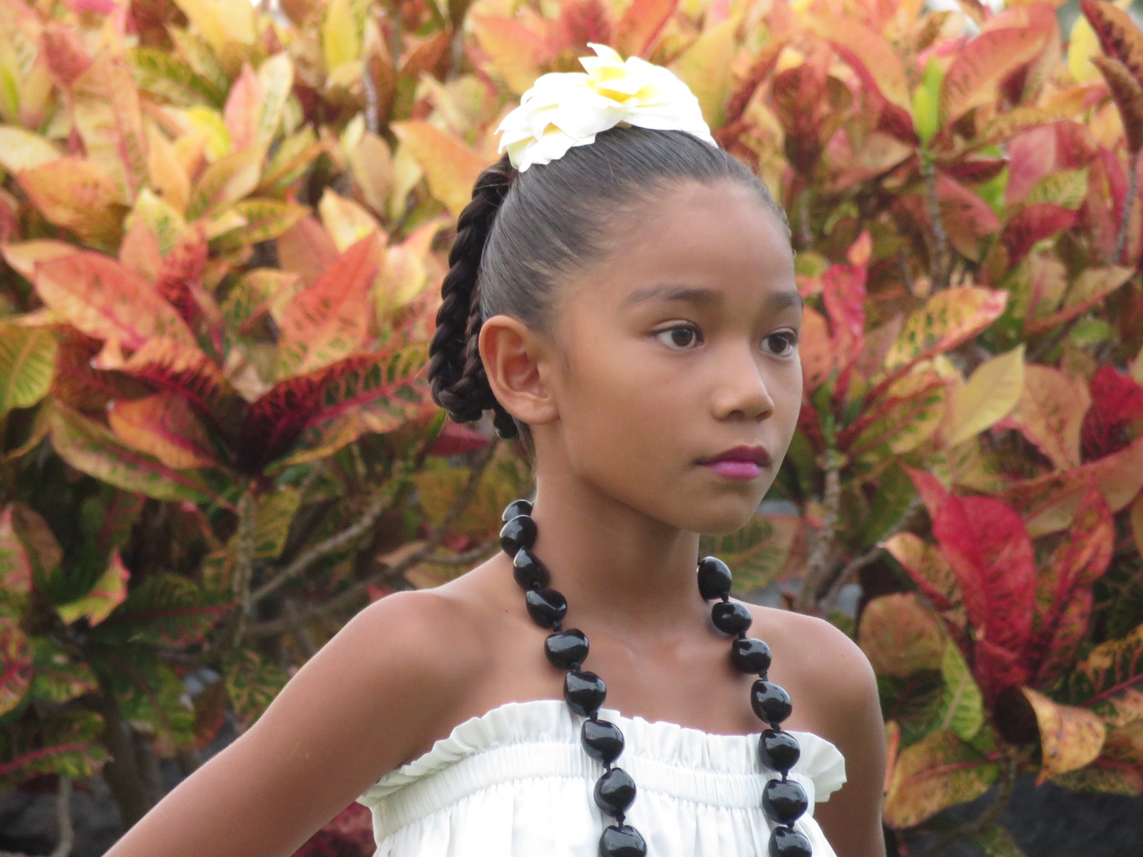 20151020053624.JPG image