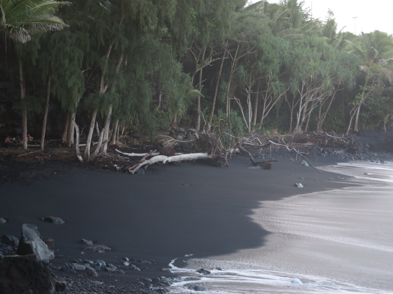 20151023052934.JPG image