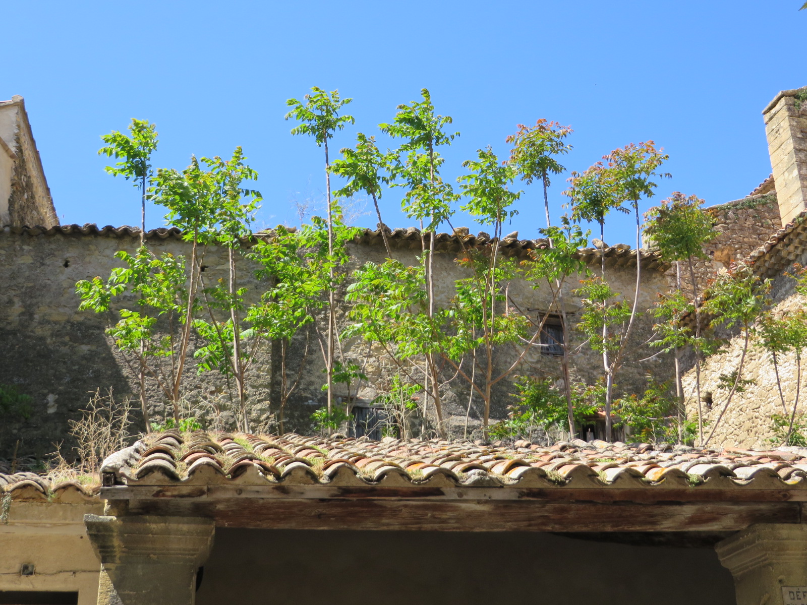 20160427125608.JPG image