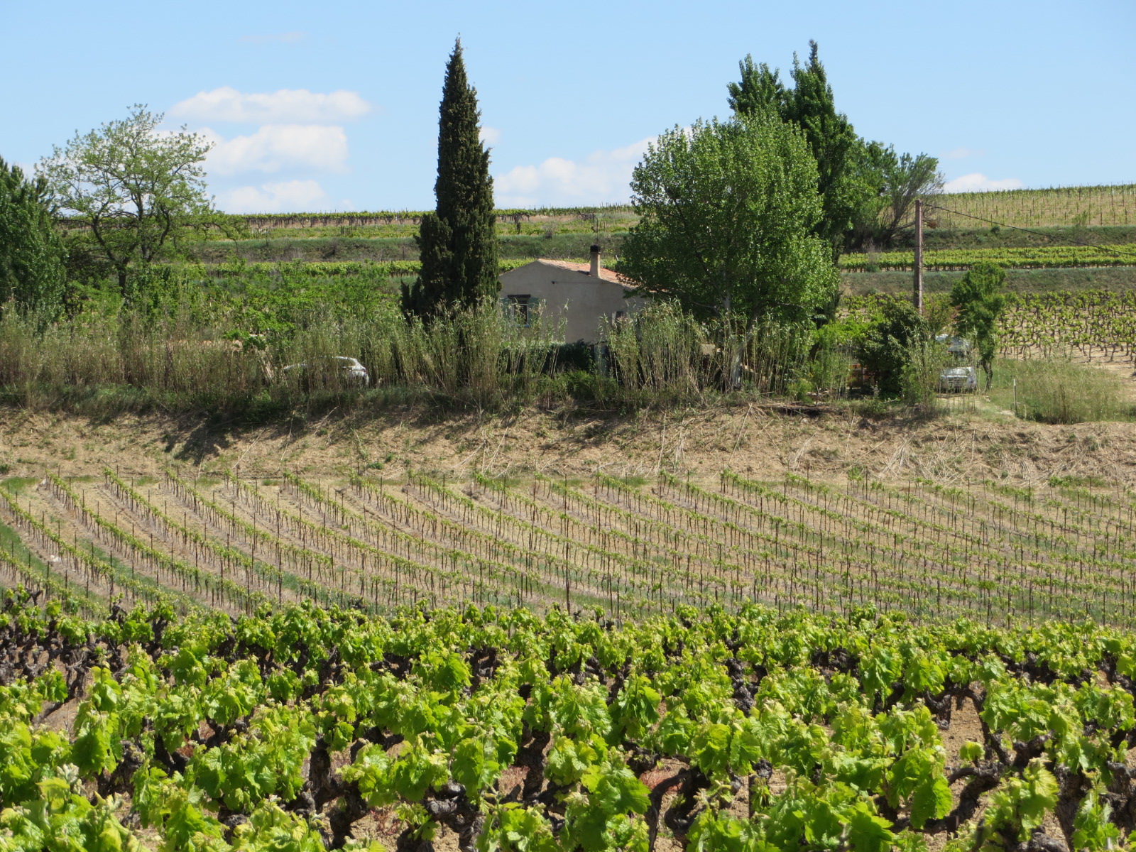 20160429124702.JPG image