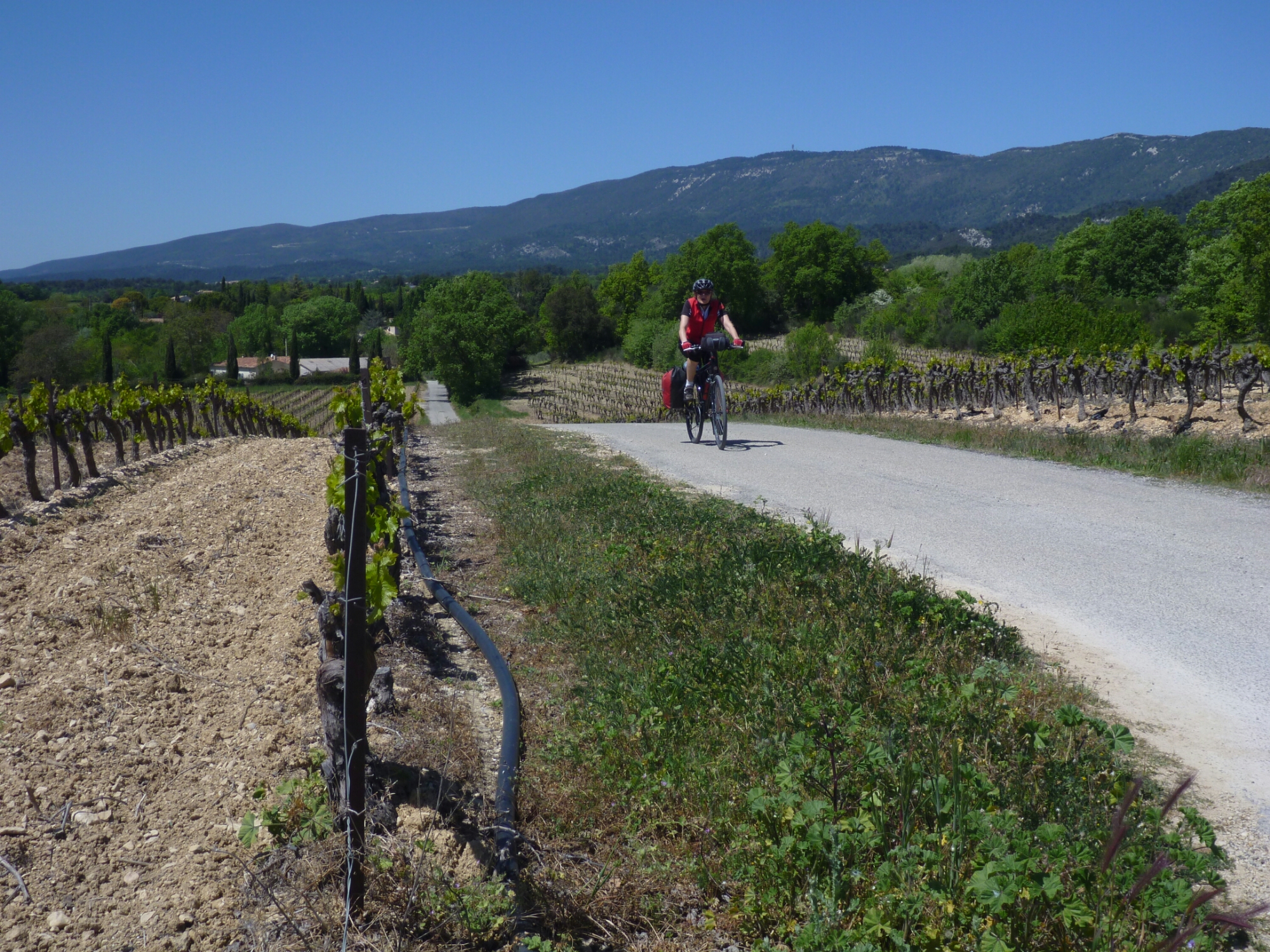 20160429132203.JPG image