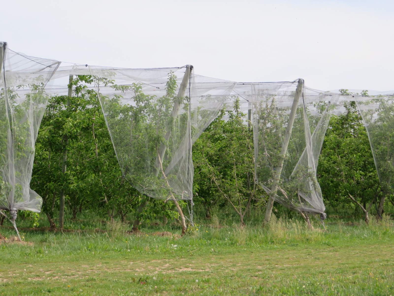 20160430110311.JPG image