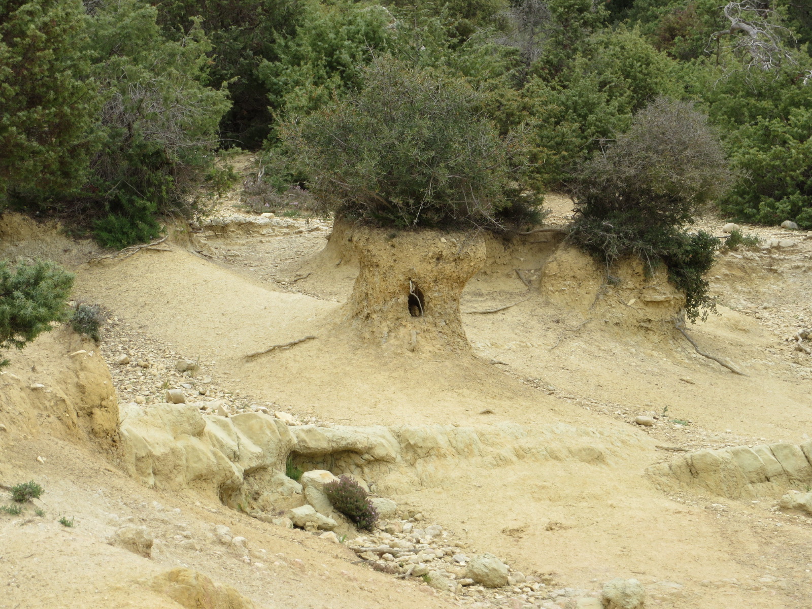 20160430131533.JPG image