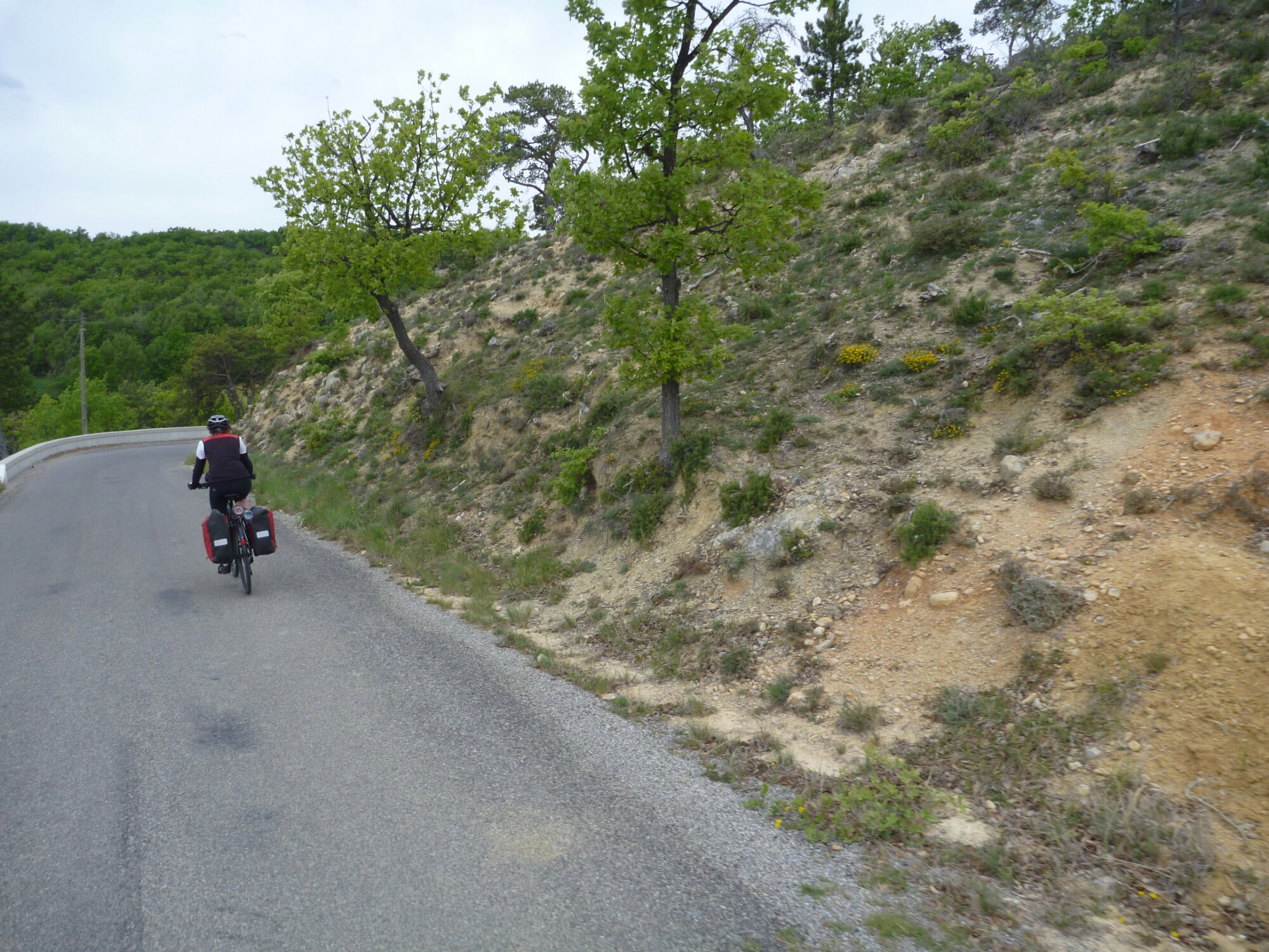 20160430132123.JPG image