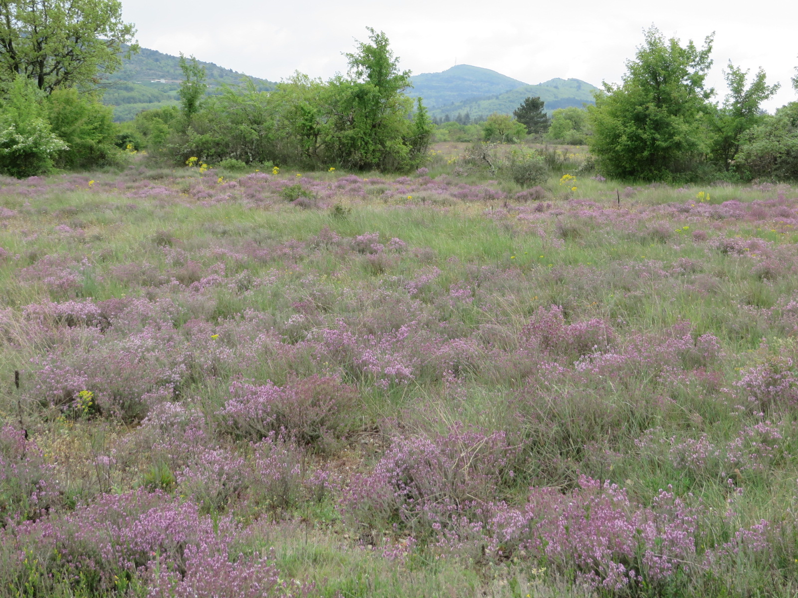 20160430154834.JPG image