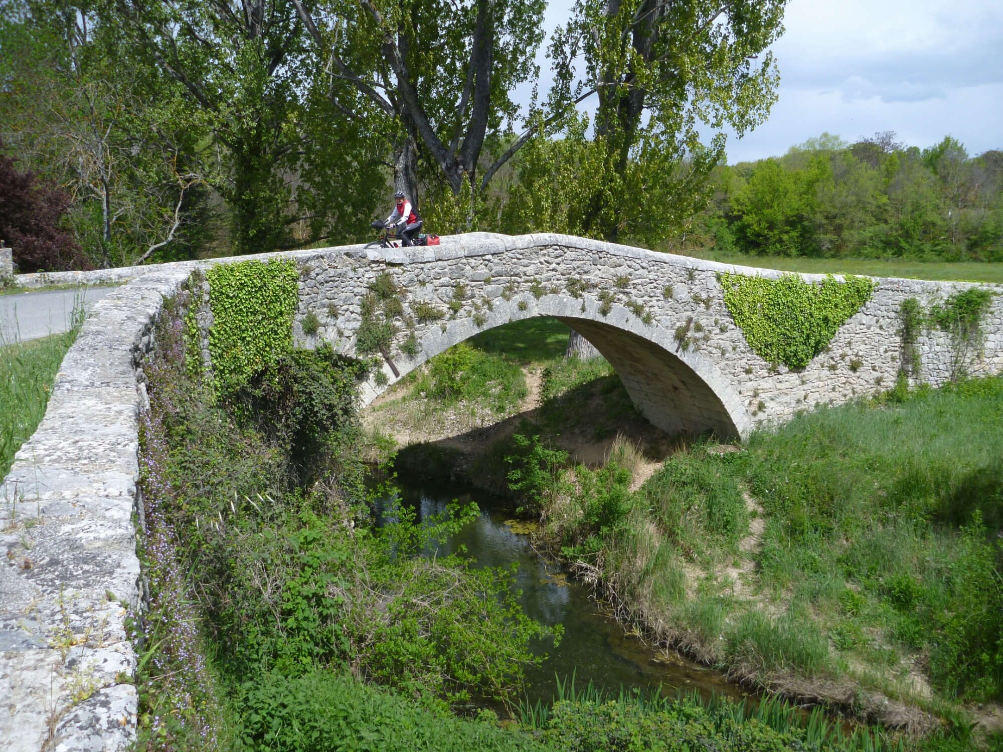 20160501121059.JPG image