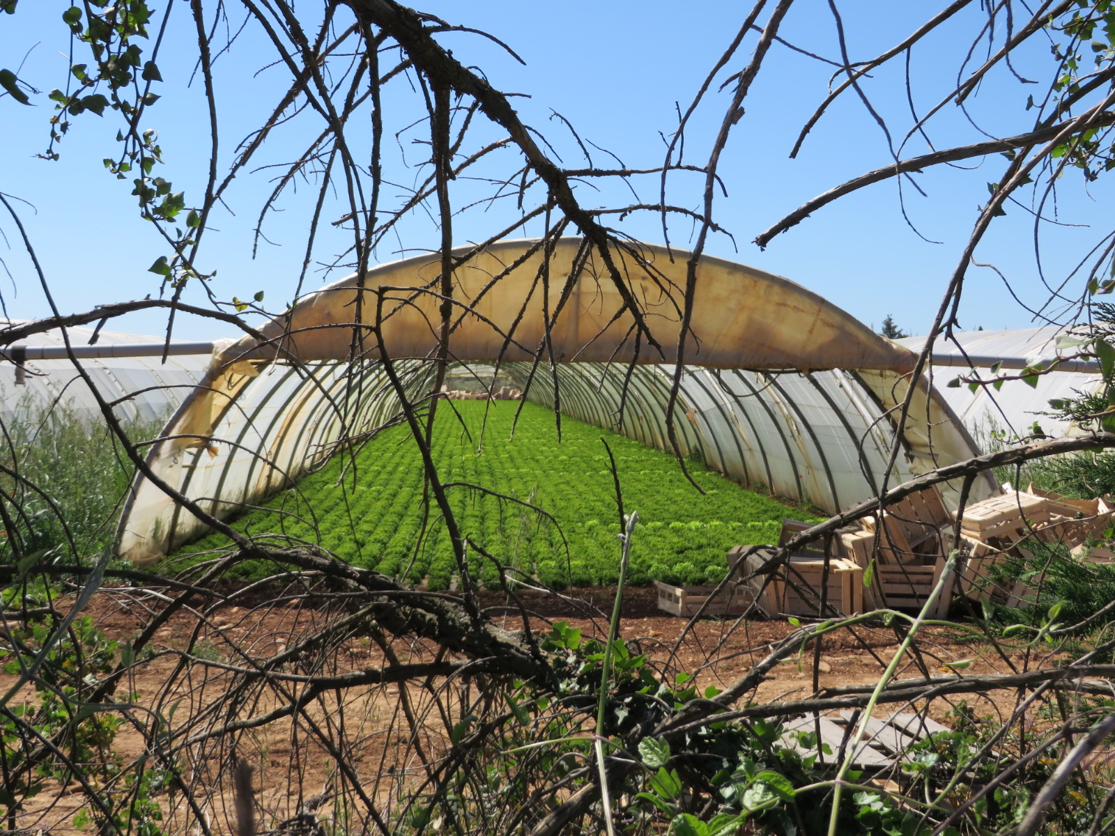 20160504113856.JPG image