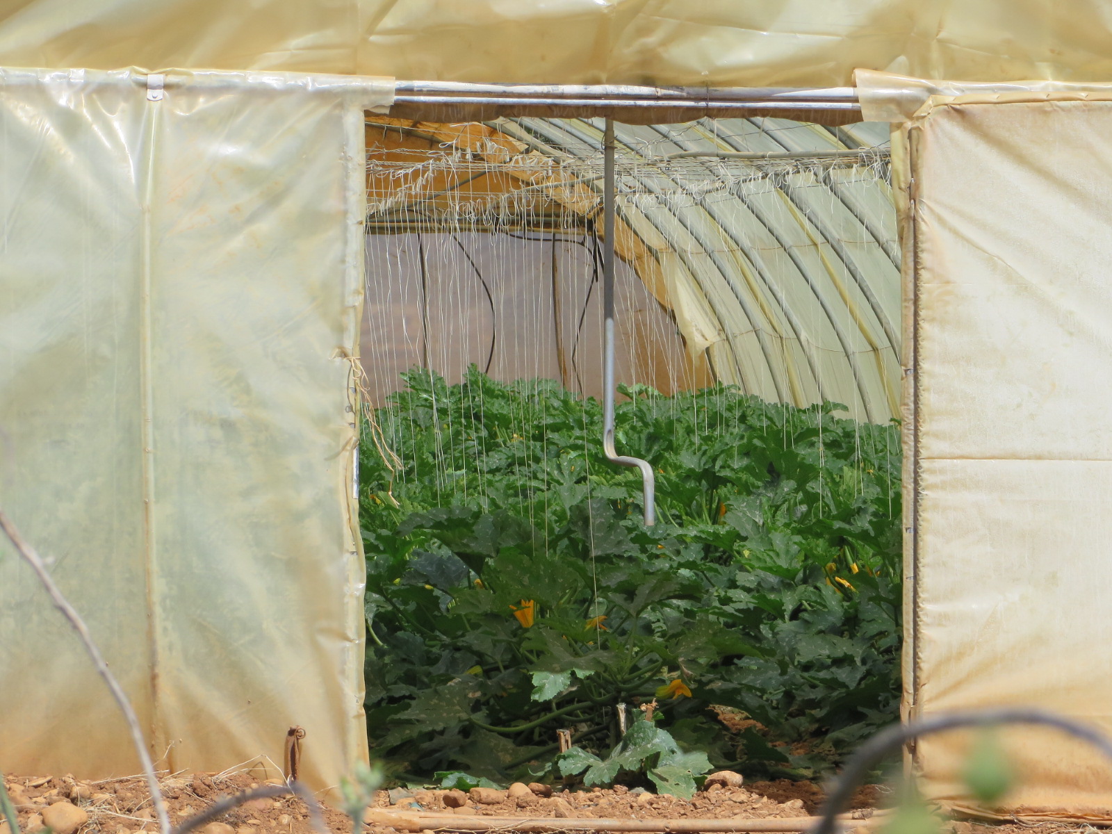 20160504114106.JPG image