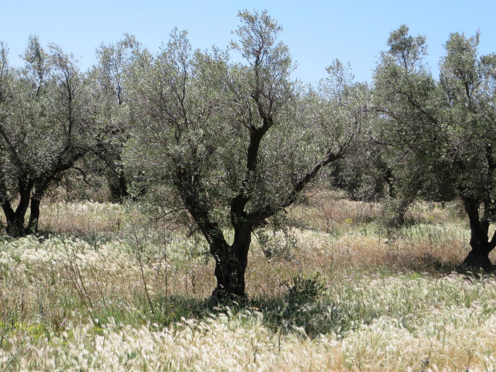 20160504133023.JPG image